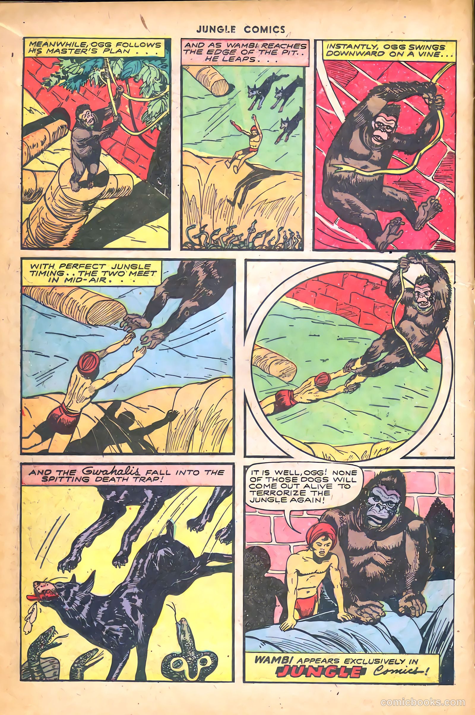 Jungle Comics #61 (1945) — page 22 of 52