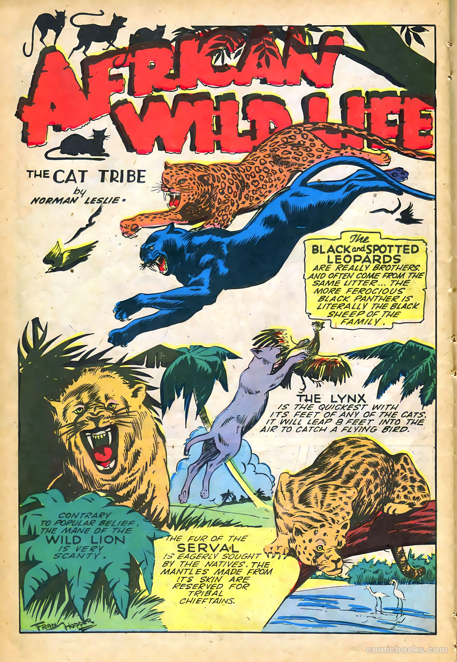 Jungle Comics #61 (1945) — page 36 of 52