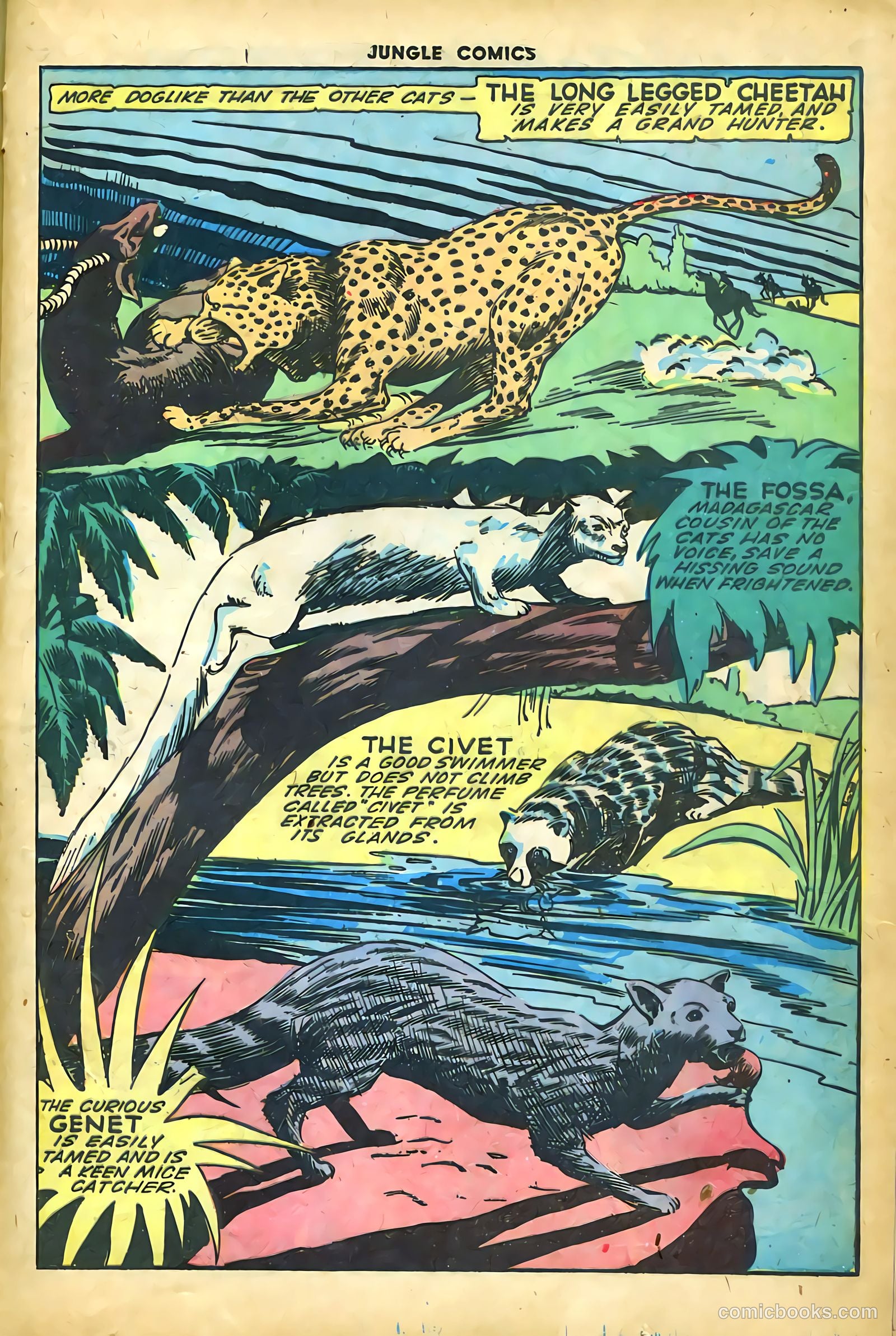 Jungle Comics #61 (1945) — page 37 of 52