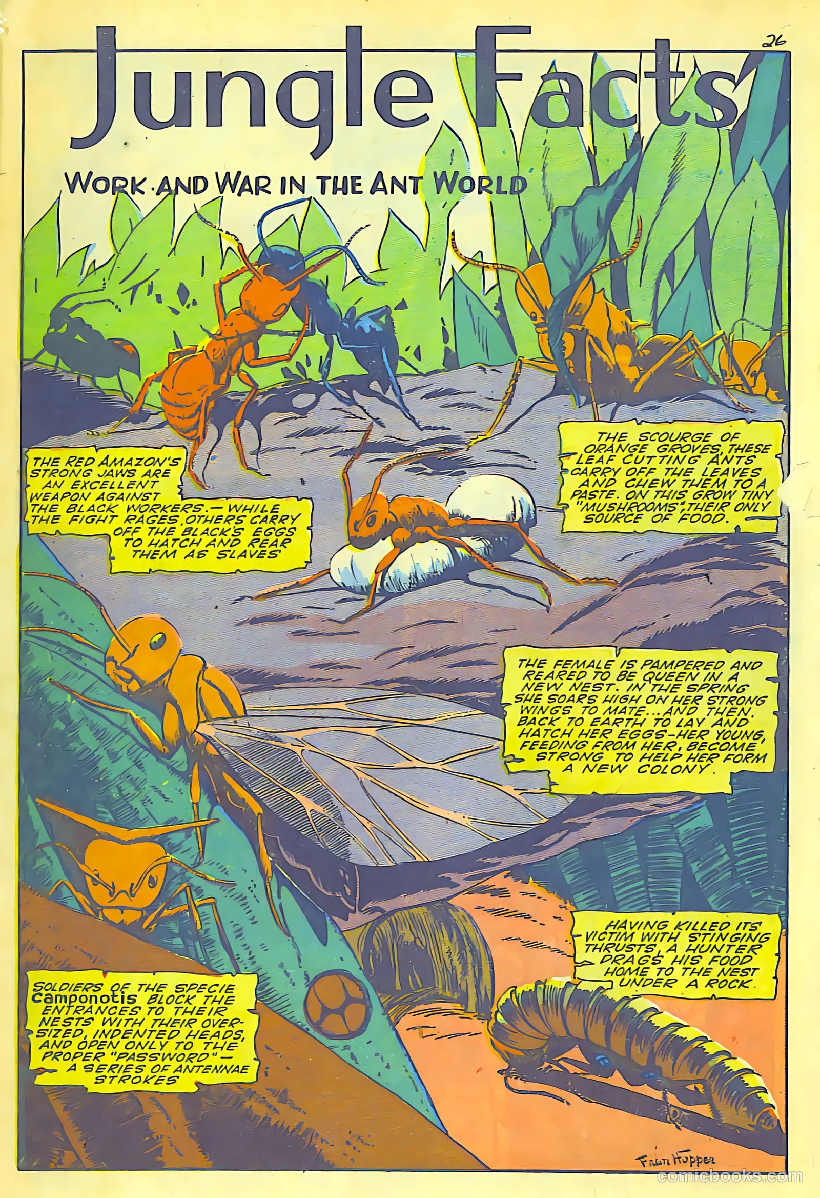 Jungle Comics #62 (1945) — page 28 of 52