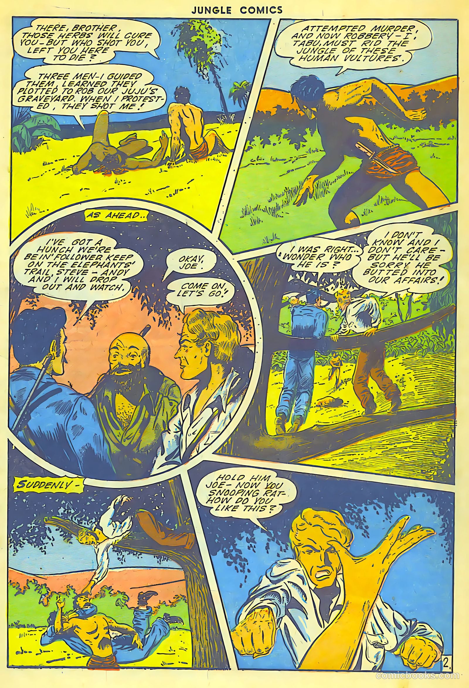 Jungle Comics #62 (1945) — page 31 of 52