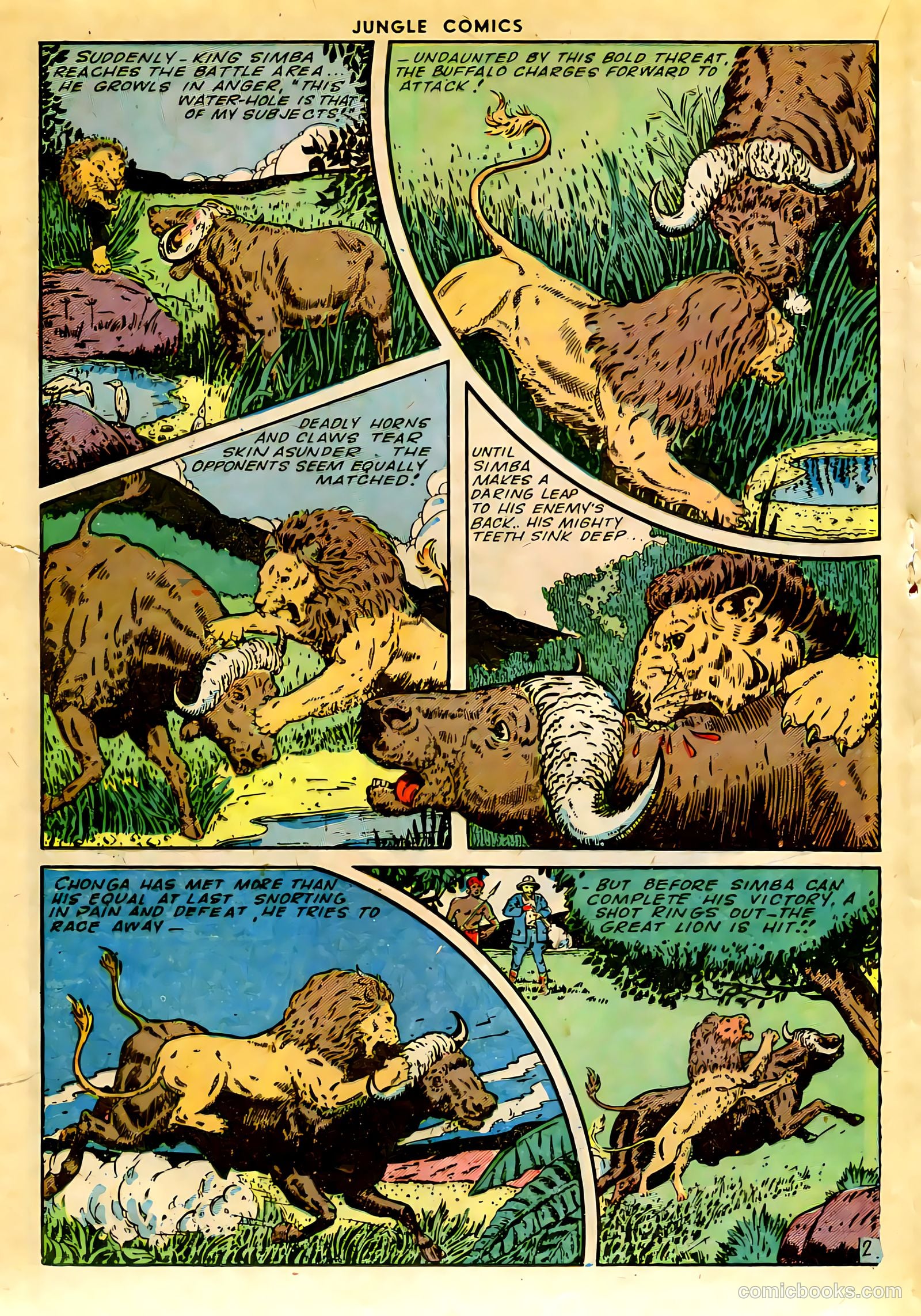 Jungle Comics #63 (1945) — page 25 of 53