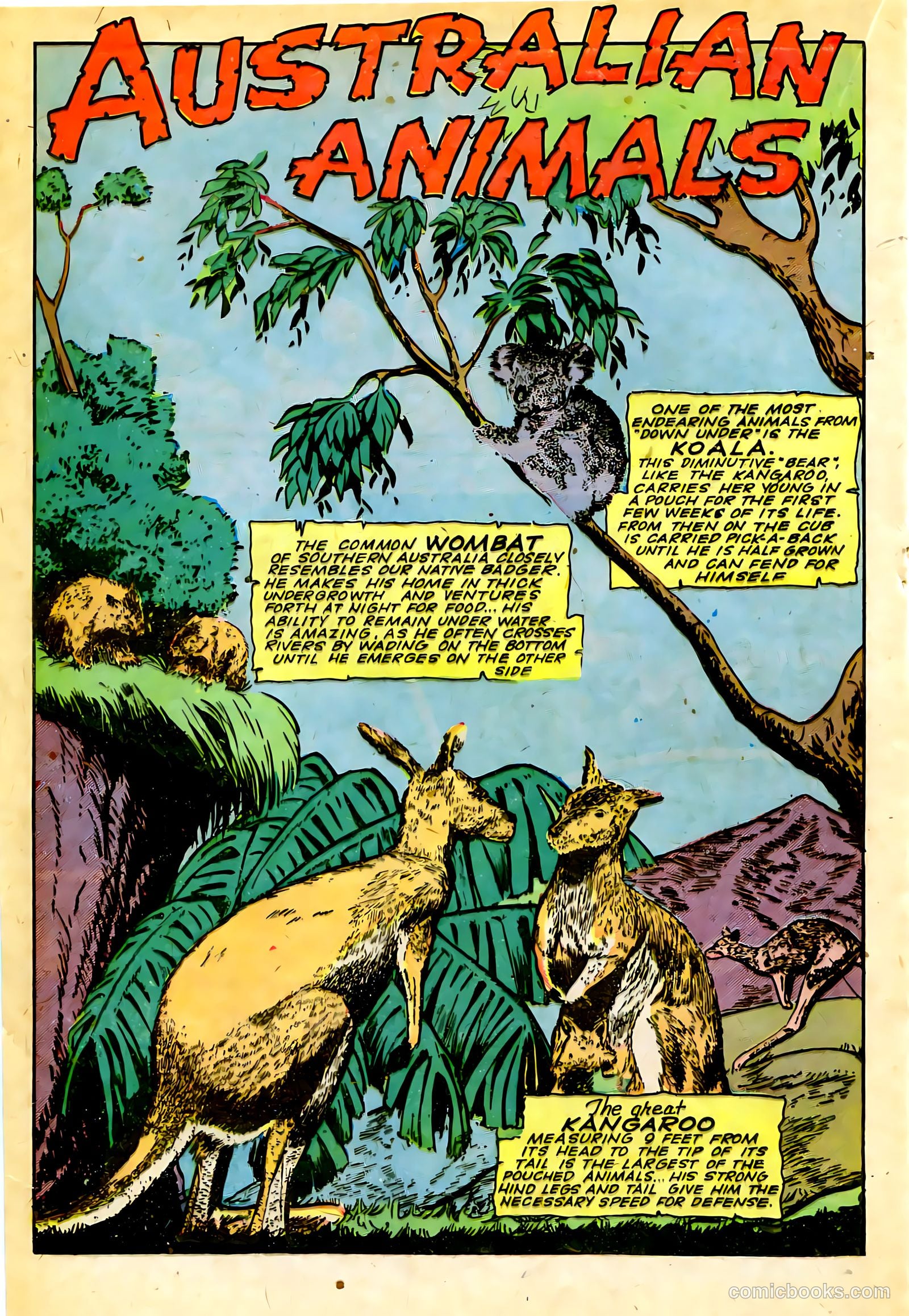 Jungle Comics #63 (1945) — page 29 of 53