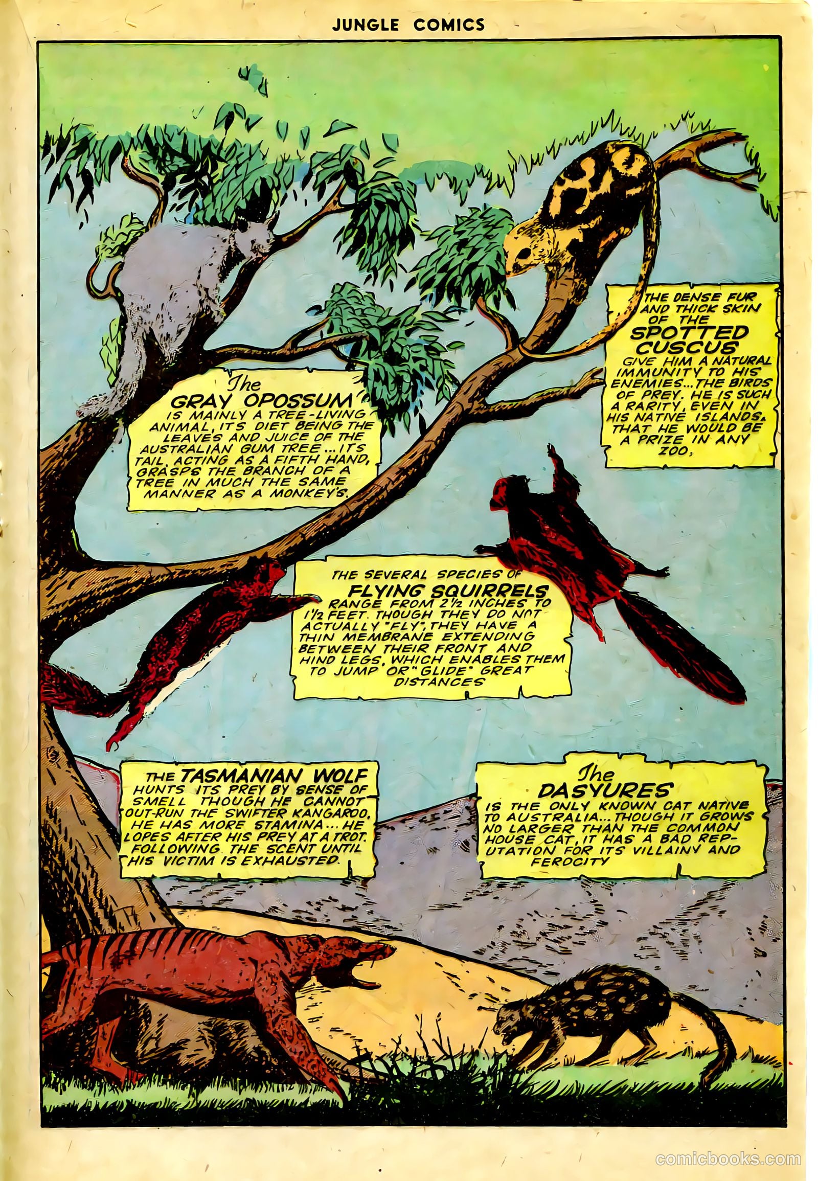 Jungle Comics #63 (1945) — page 30 of 53