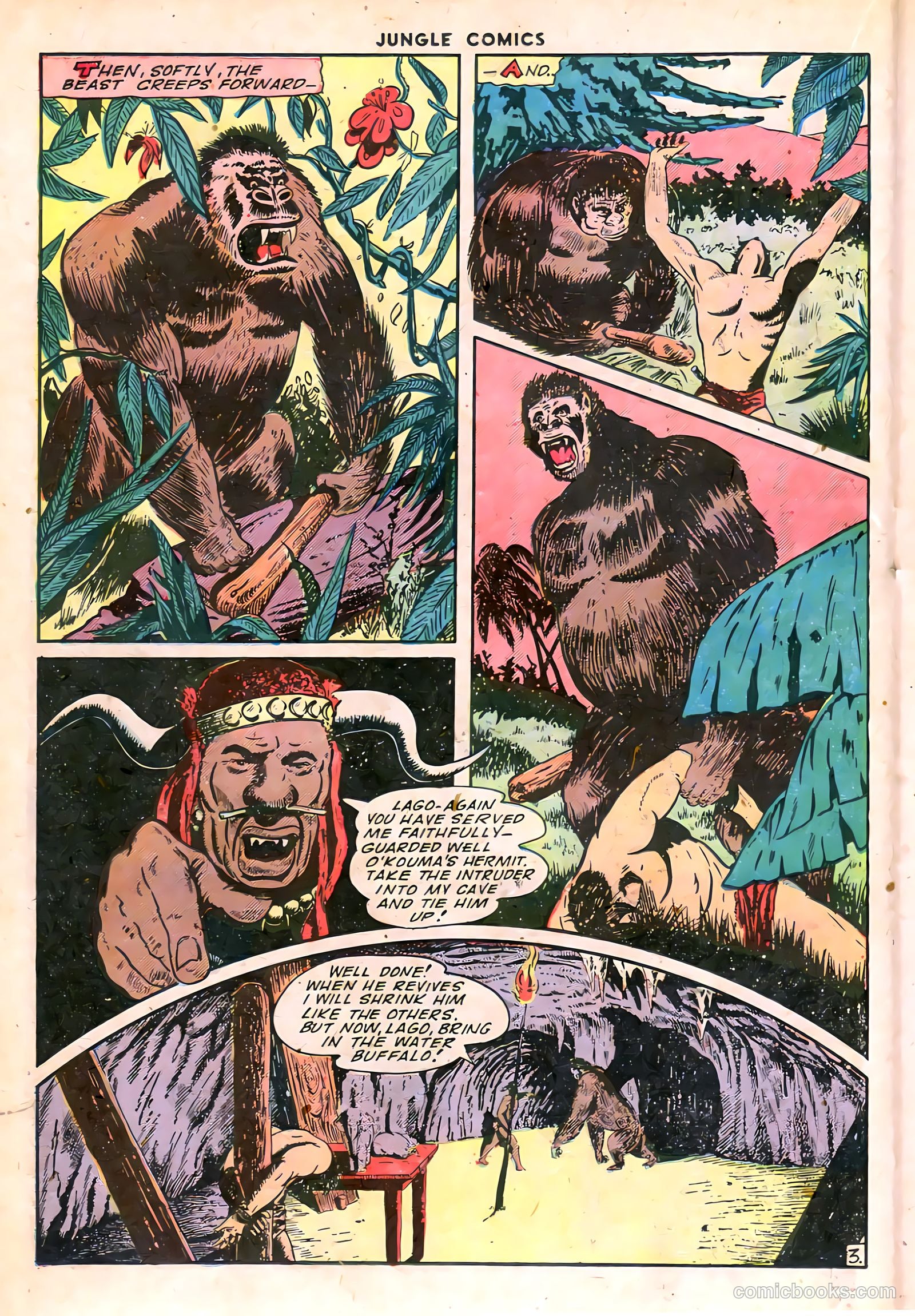 Jungle Comics #63 (1945) — page 33 of 53