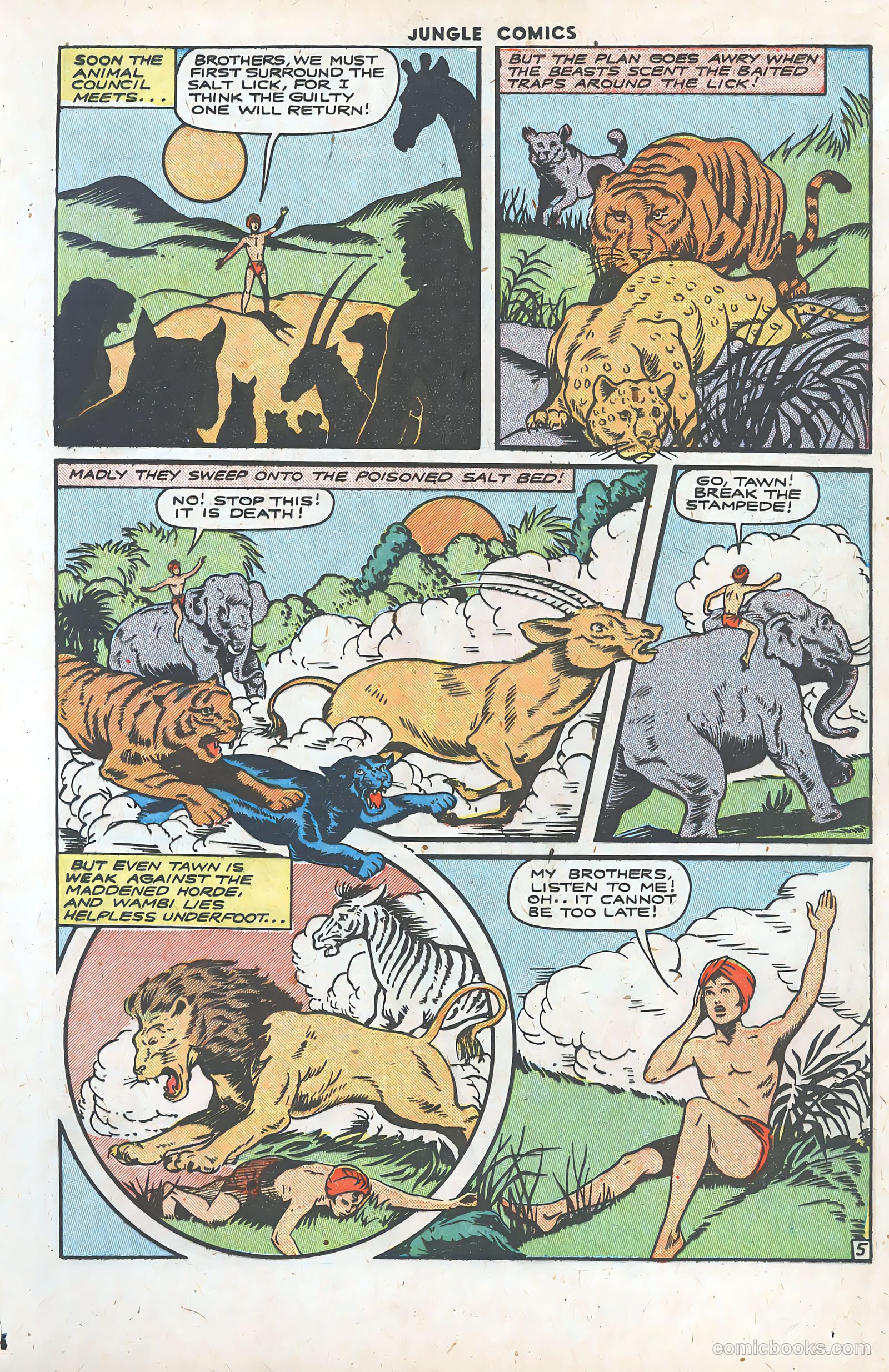 Jungle Comics #64 (1945) — page 19 of 52