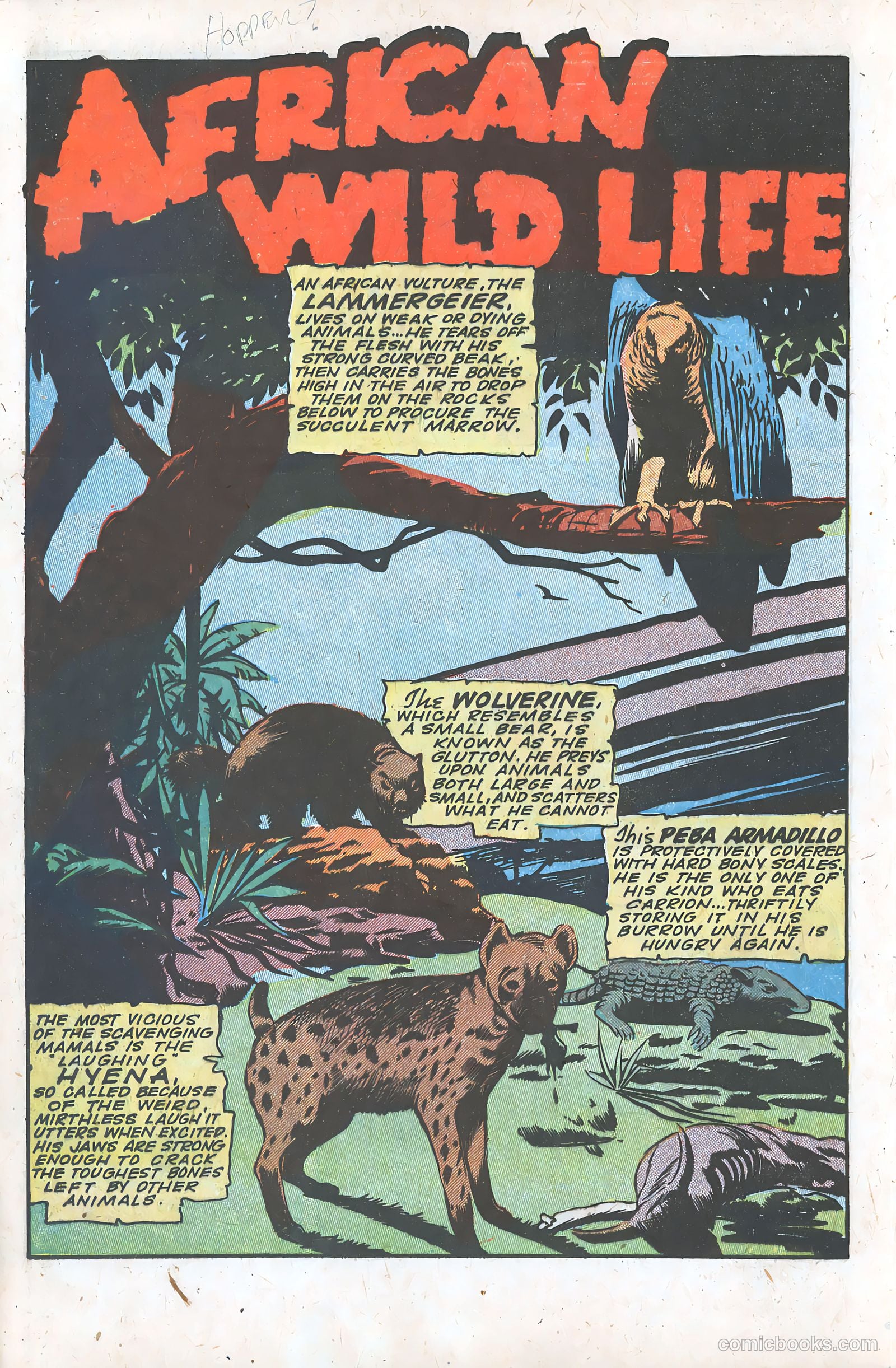 Jungle Comics #64 (1945) — page 28 of 52