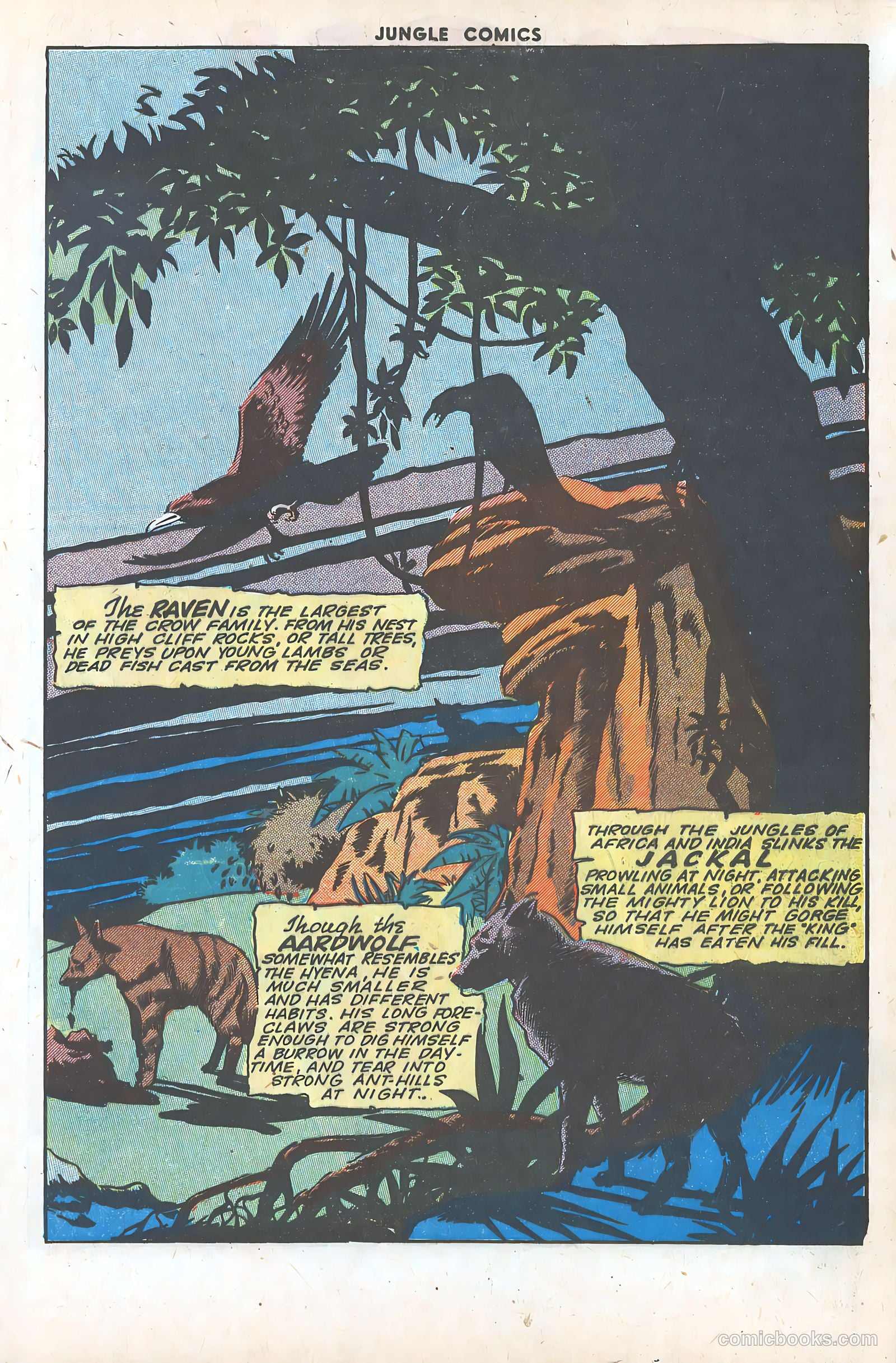 Jungle Comics #64 (1945) — page 29 of 52