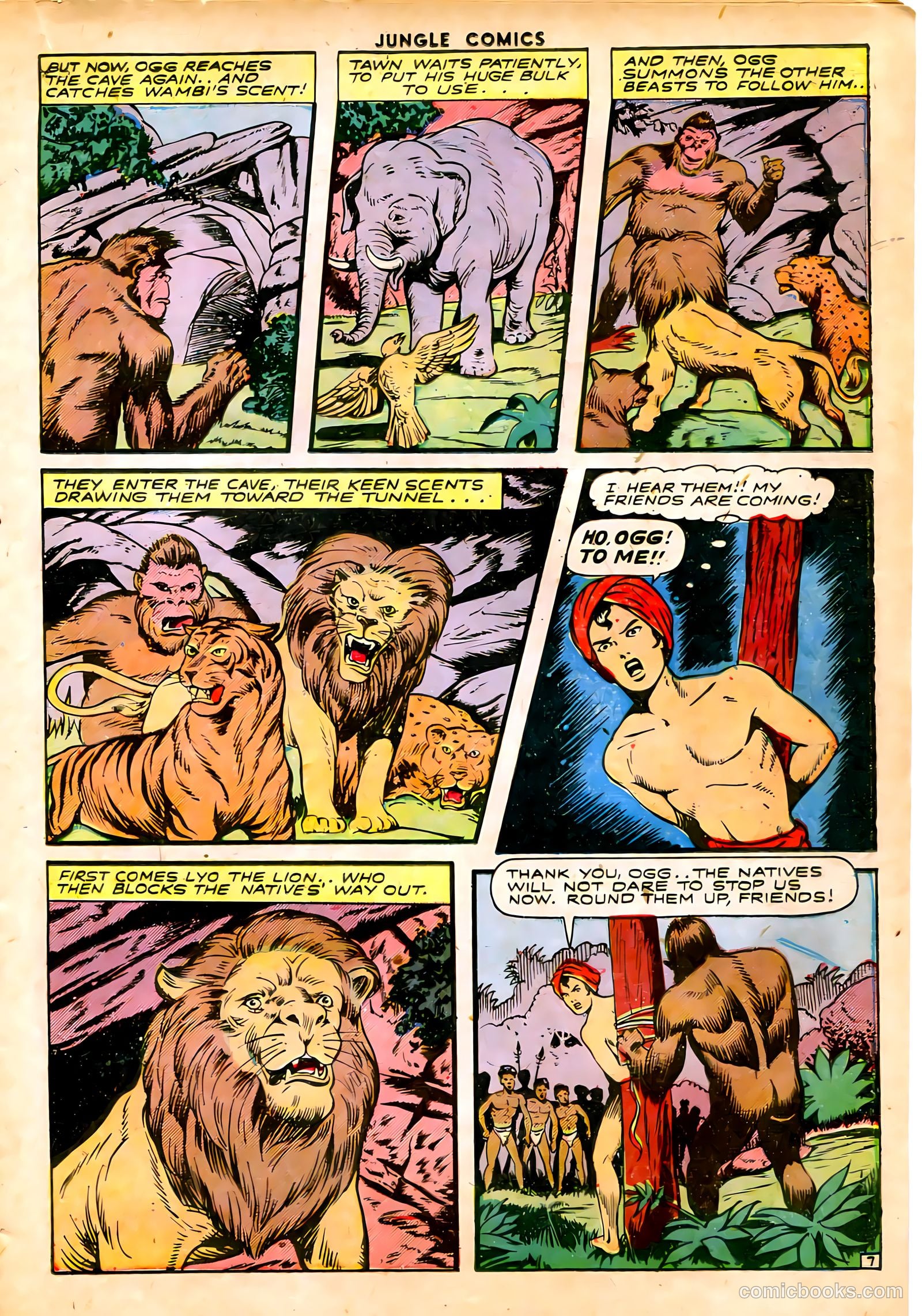 Jungle Comics #65 (1945) — page 21 of 52