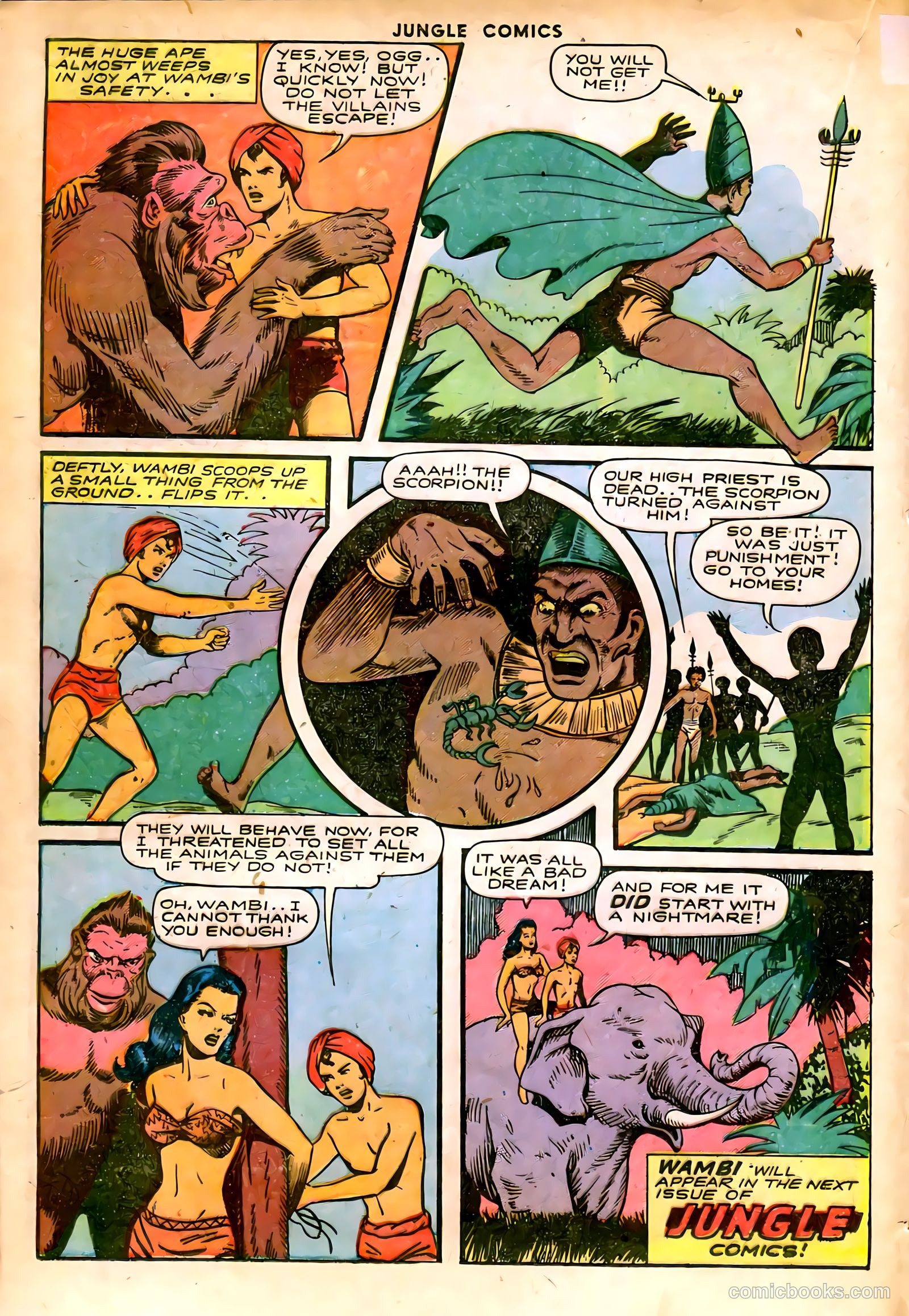 Jungle Comics #65 (1945) — page 22 of 52