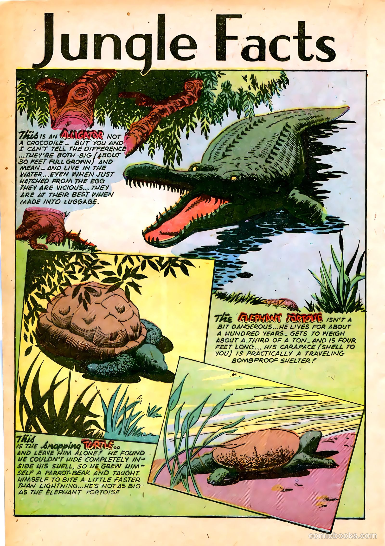 Jungle Comics #65 (1945) — page 28 of 52
