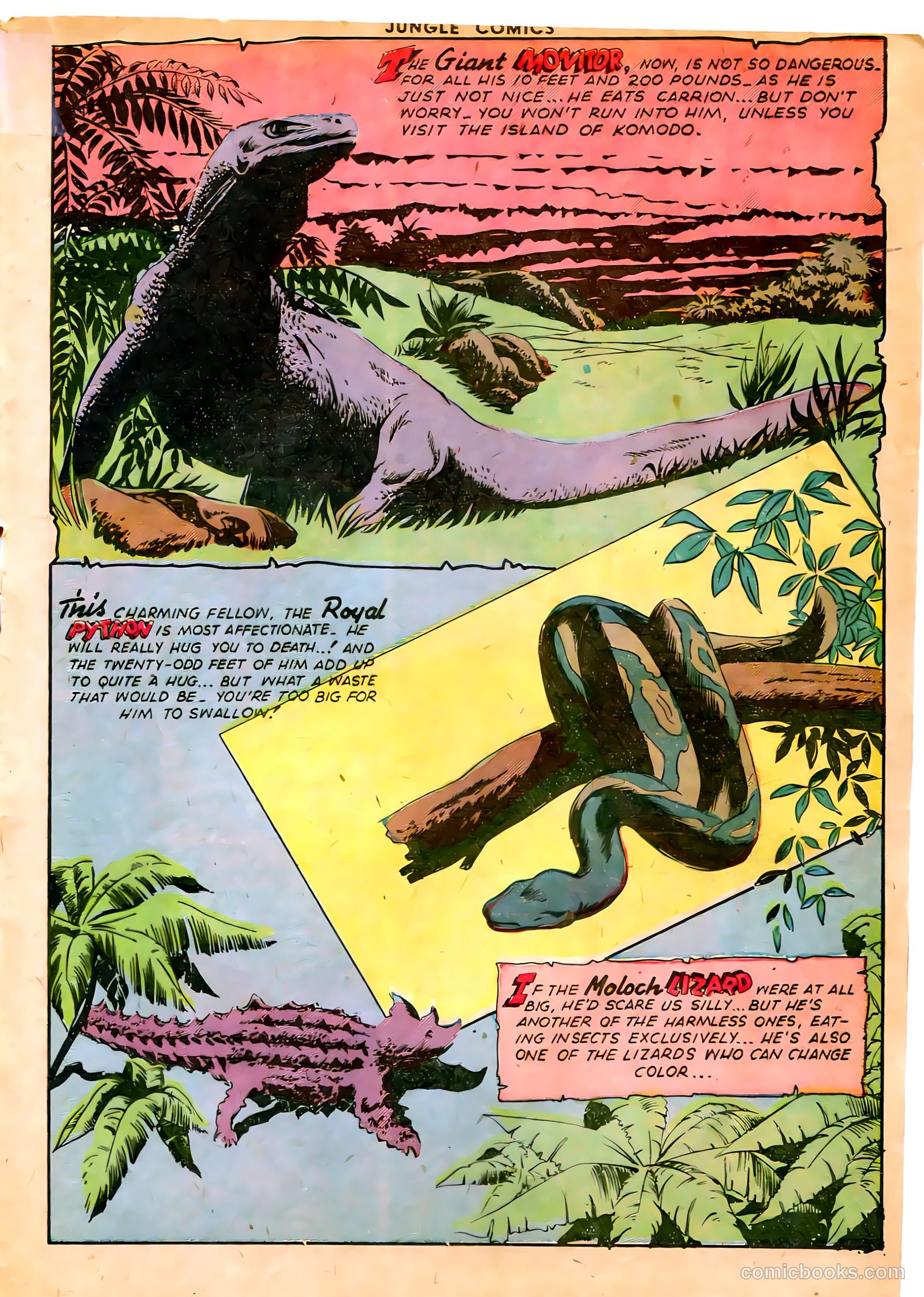 Jungle Comics #65 (1945) — page 29 of 52