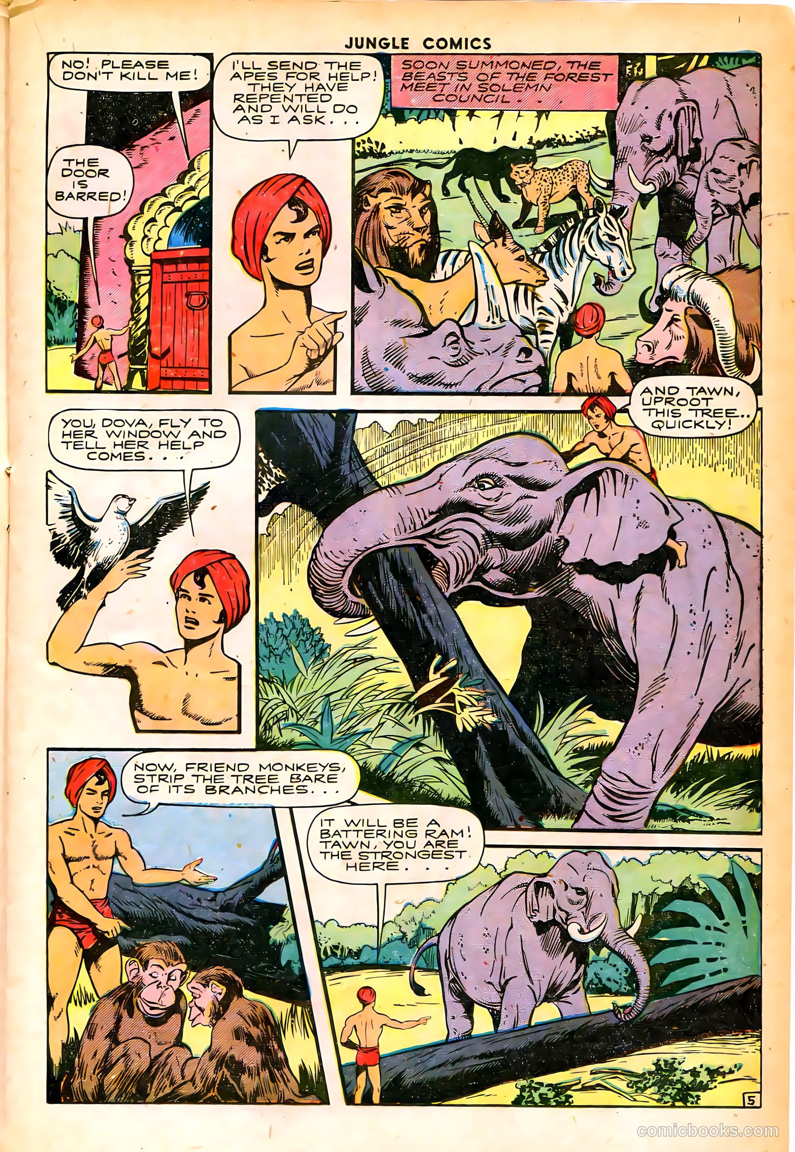 Jungle Comics #66 (1945) — page 19 of 52