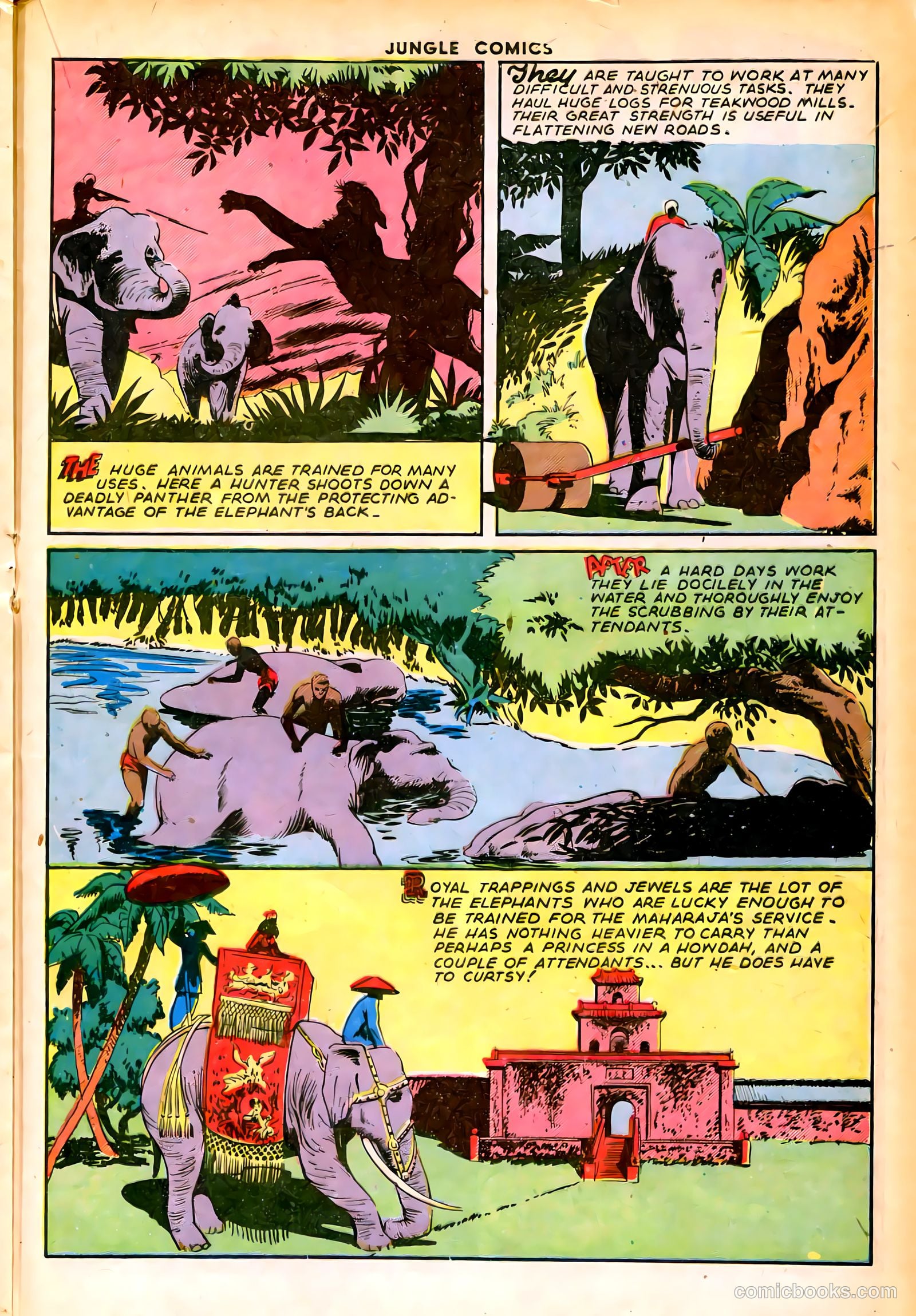 Jungle Comics #66 (1945) — page 29 of 52