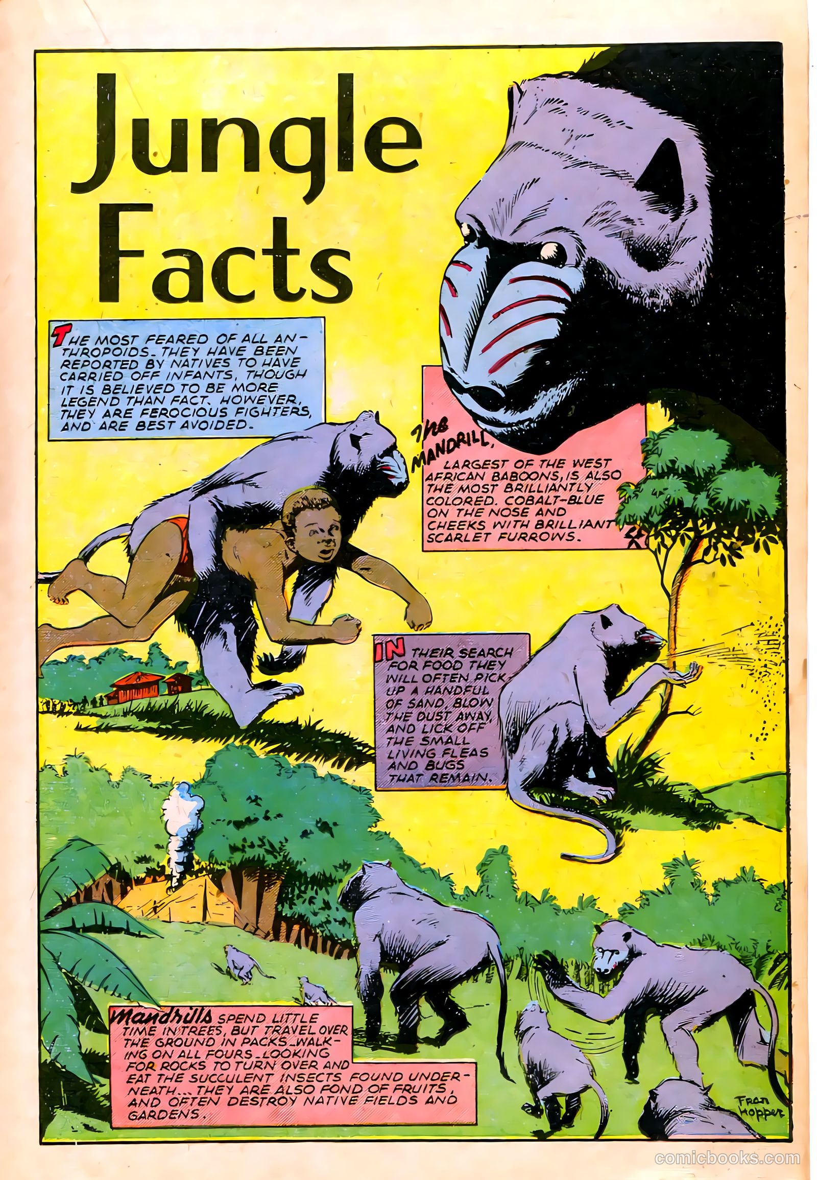 Jungle Comics #67 (1945) — page 23 of 52