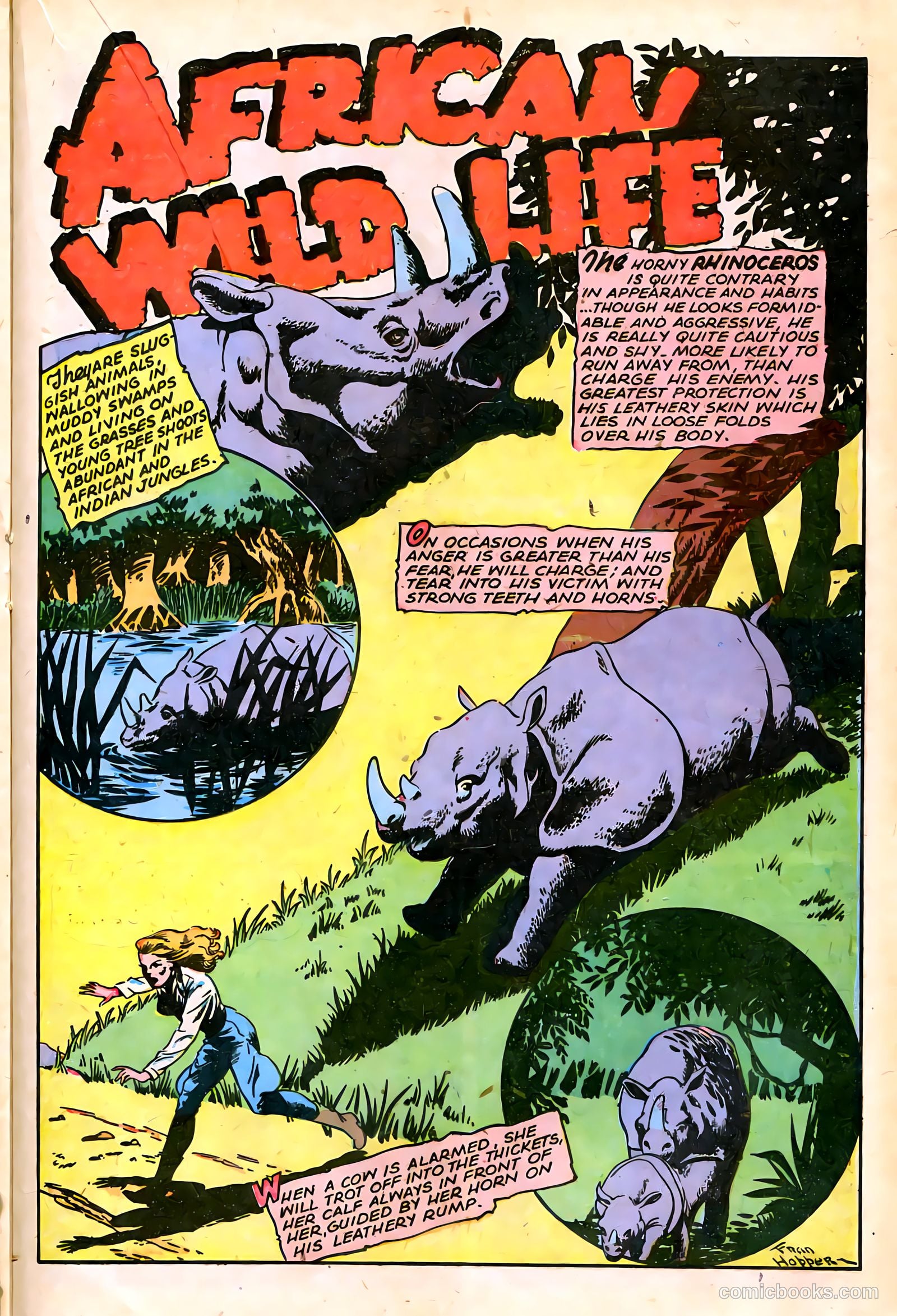 Jungle Comics #67 (1945) — page 29 of 52