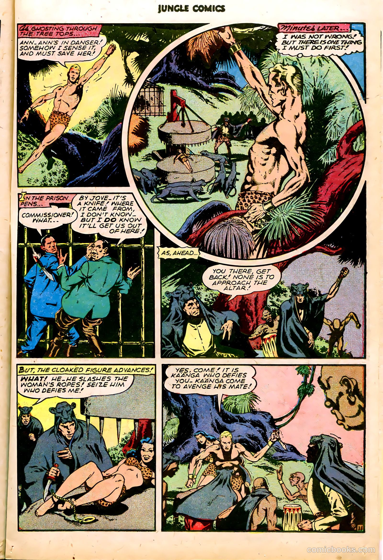 Jungle Comics #68 (1945) — page 13 of 36
