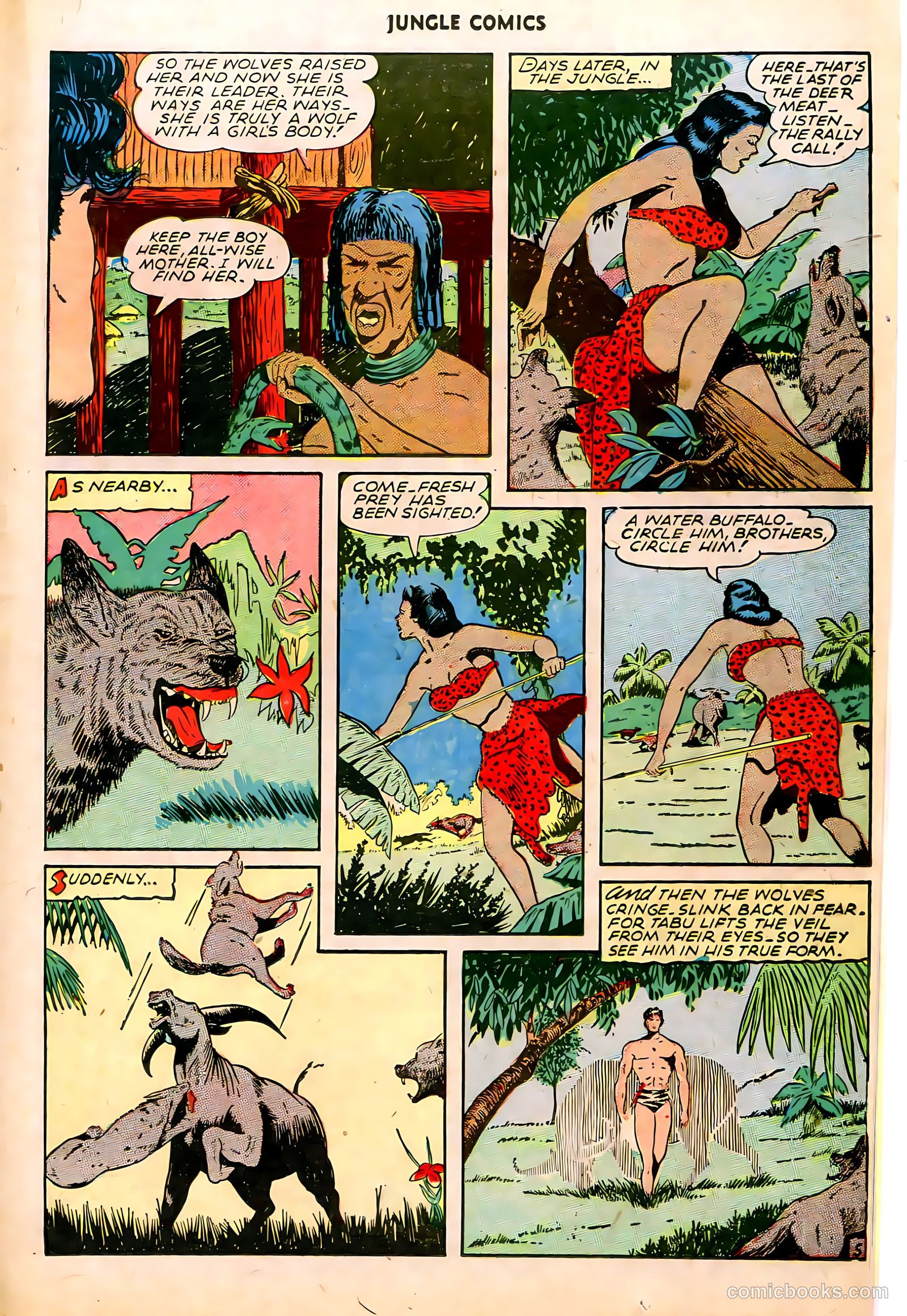 Jungle Comics #68 (1945) — page 19 of 36