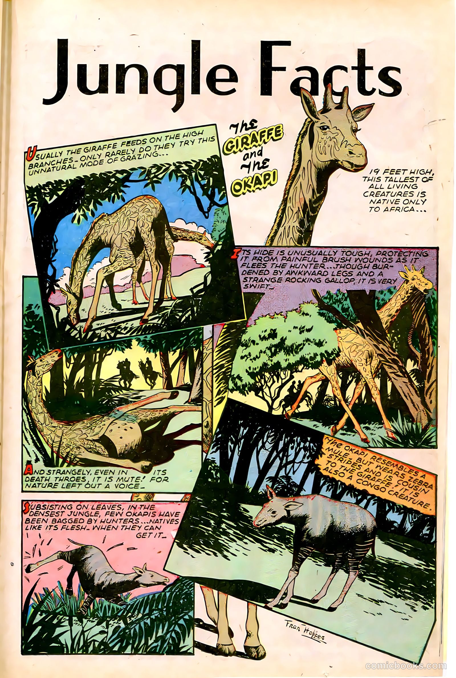 Jungle Comics #68 (1945) — page 21 of 36