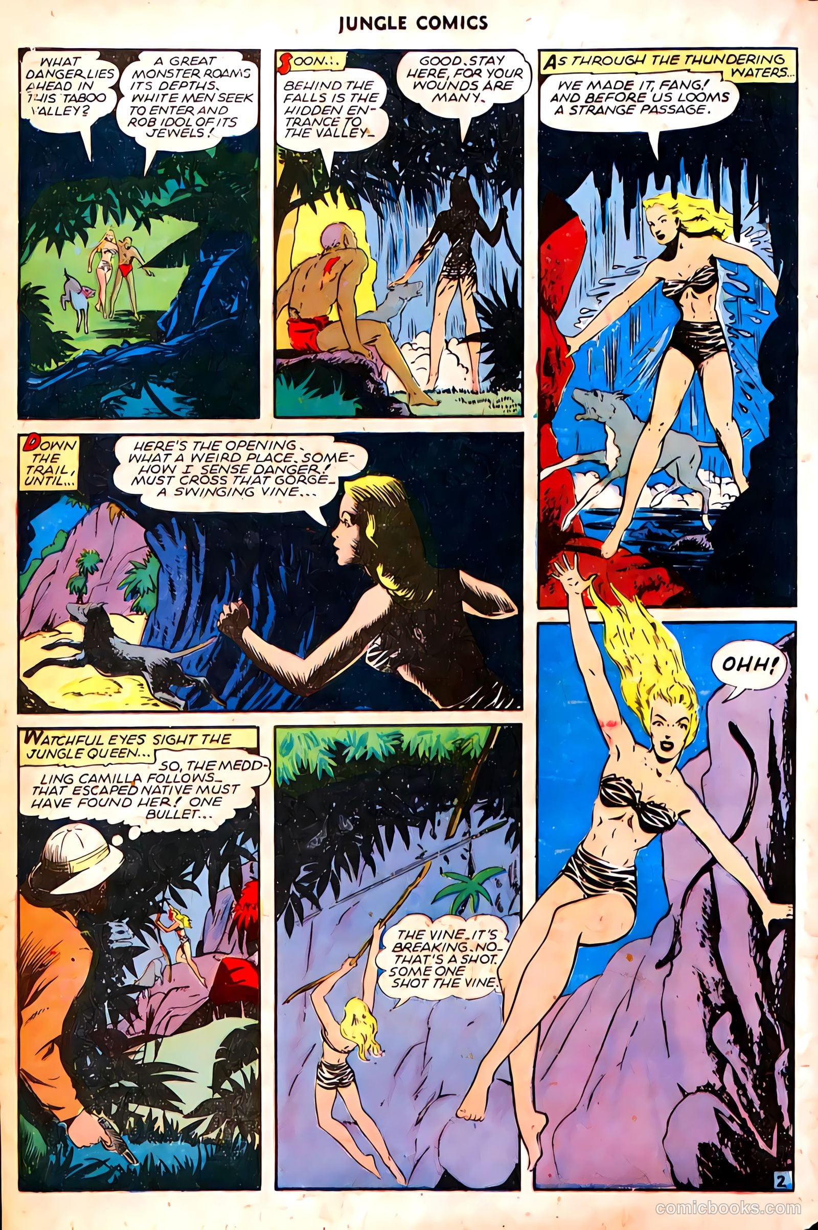 Jungle Comics #70 (1945) — page 14 of 36