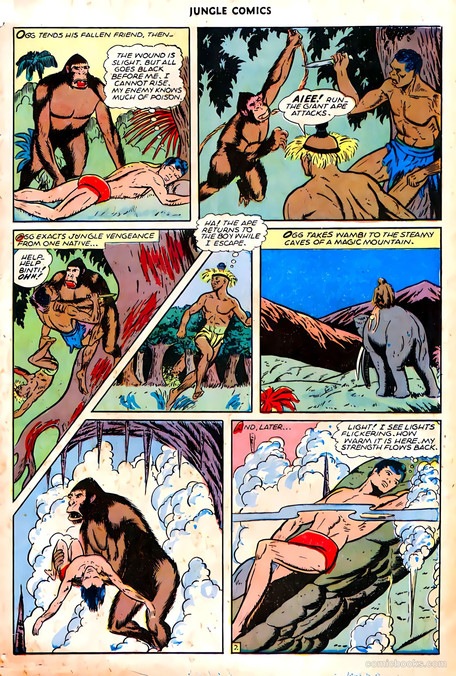 Jungle Comics #70 (1945) — page 25 of 36