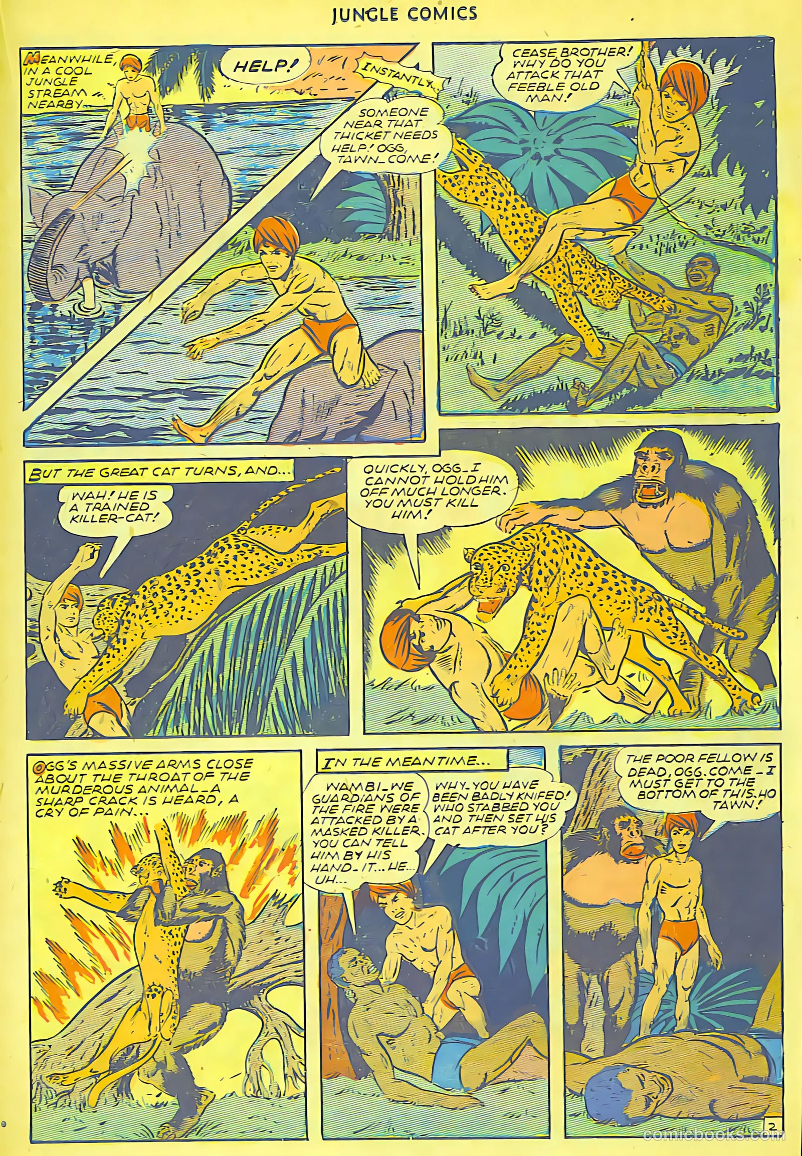Jungle Comics #71 (1945) — page 19 of 36