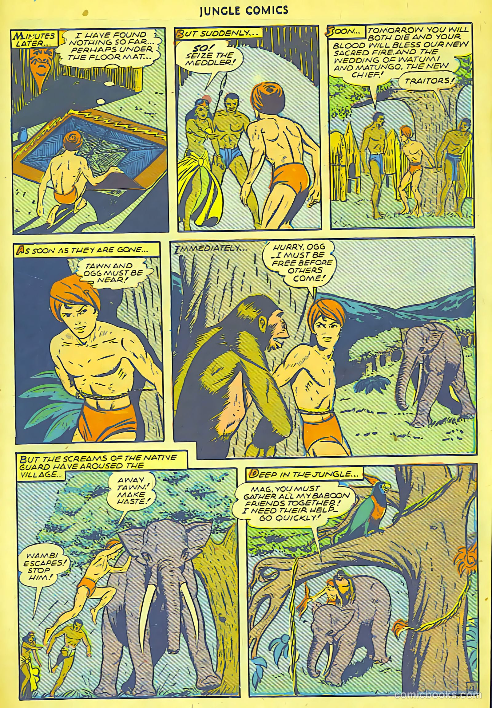 Jungle Comics #71 (1945) — page 21 of 36
