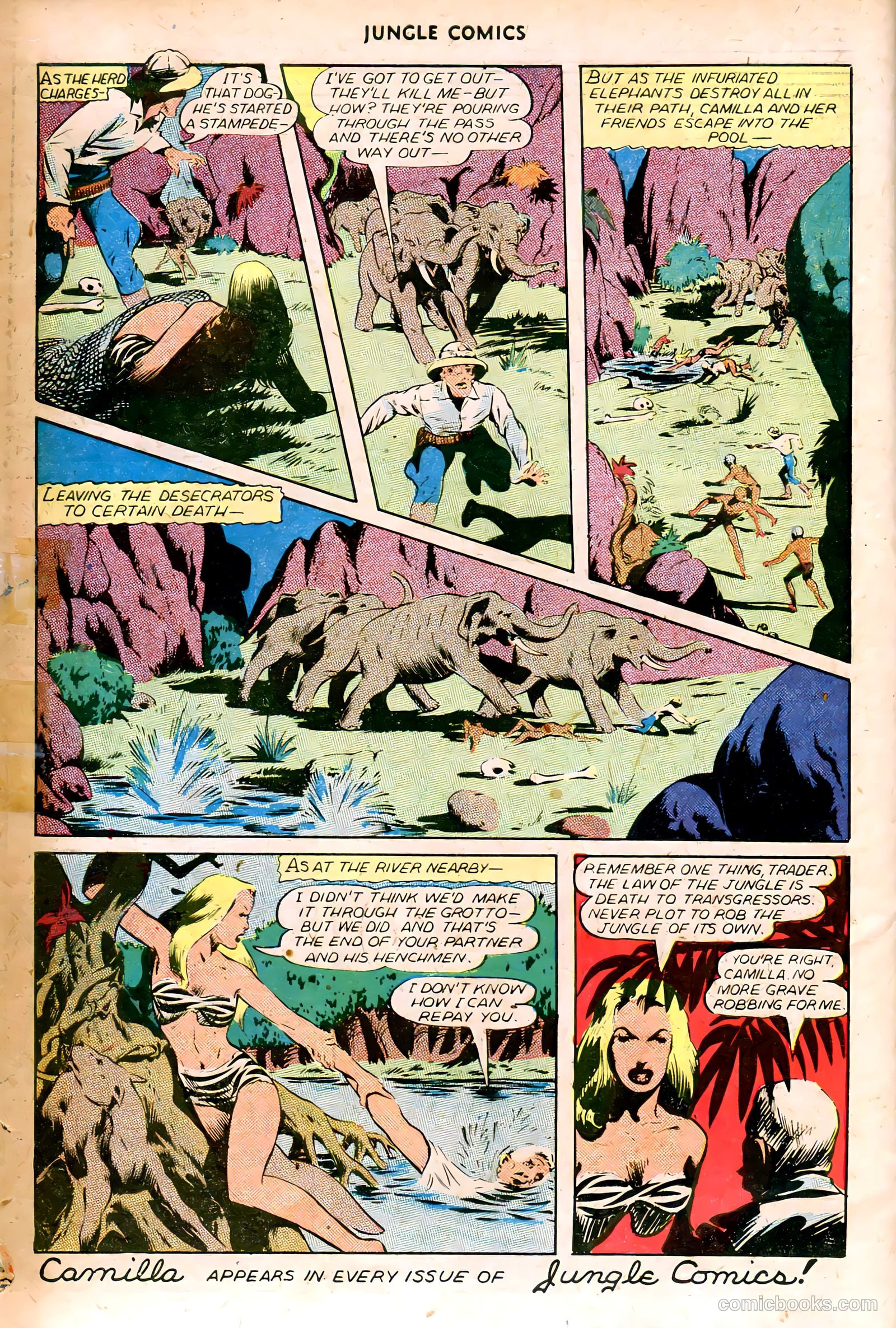 Jungle Comics #73 (1946) — page 34 of 36