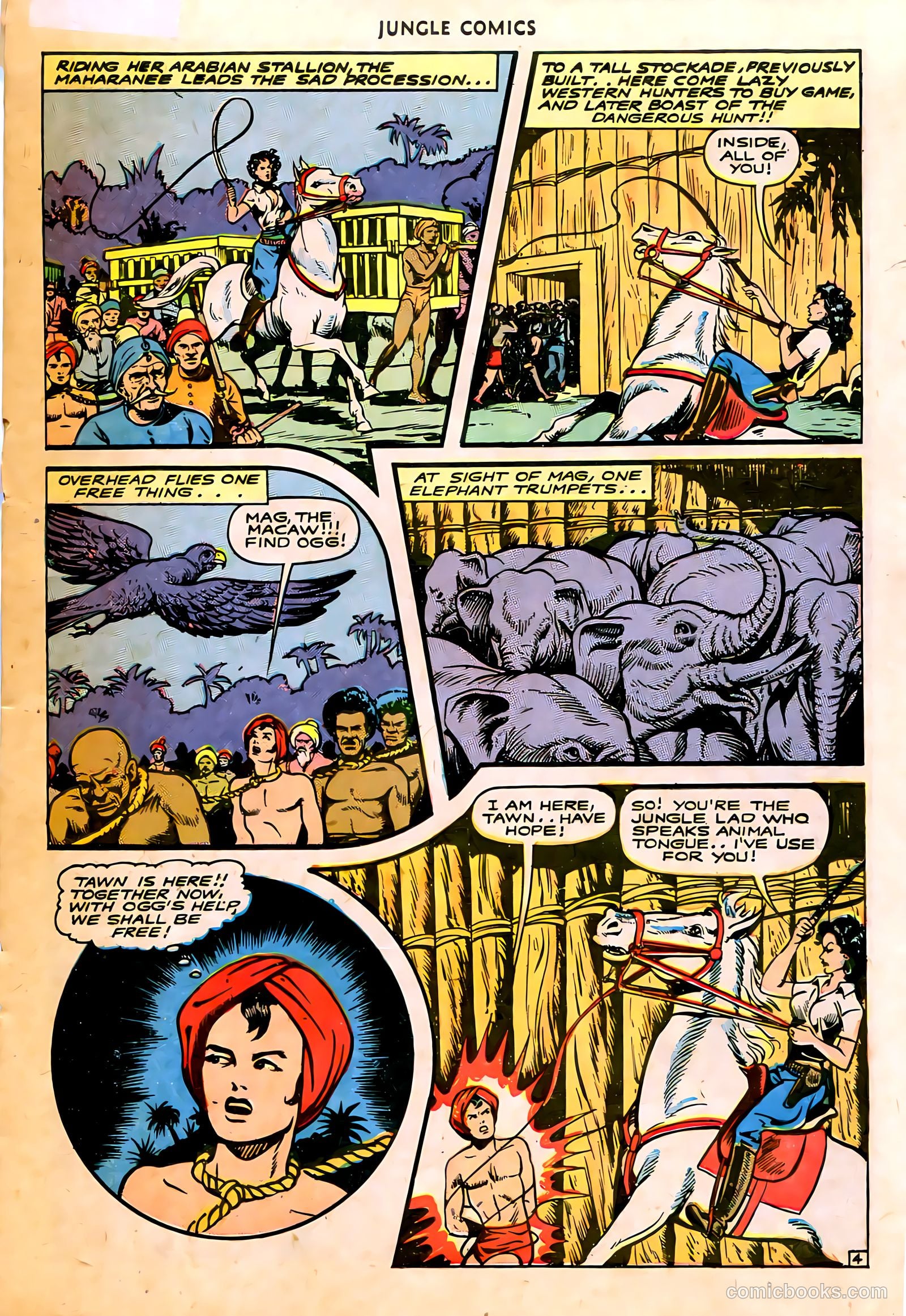 Jungle Comics #74 (1946) — page 24 of 53