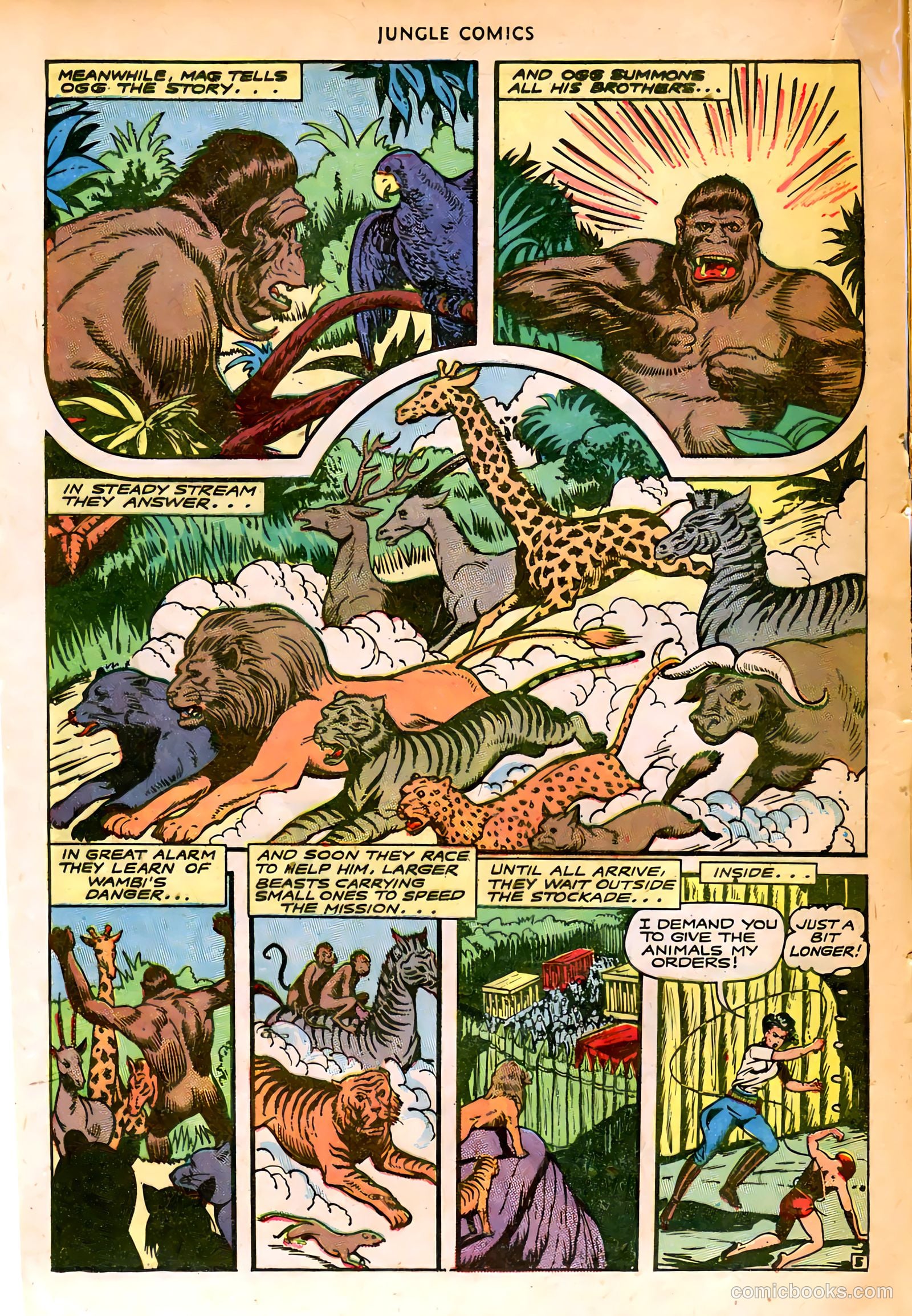 Jungle Comics #74 (1946) — page 25 of 53