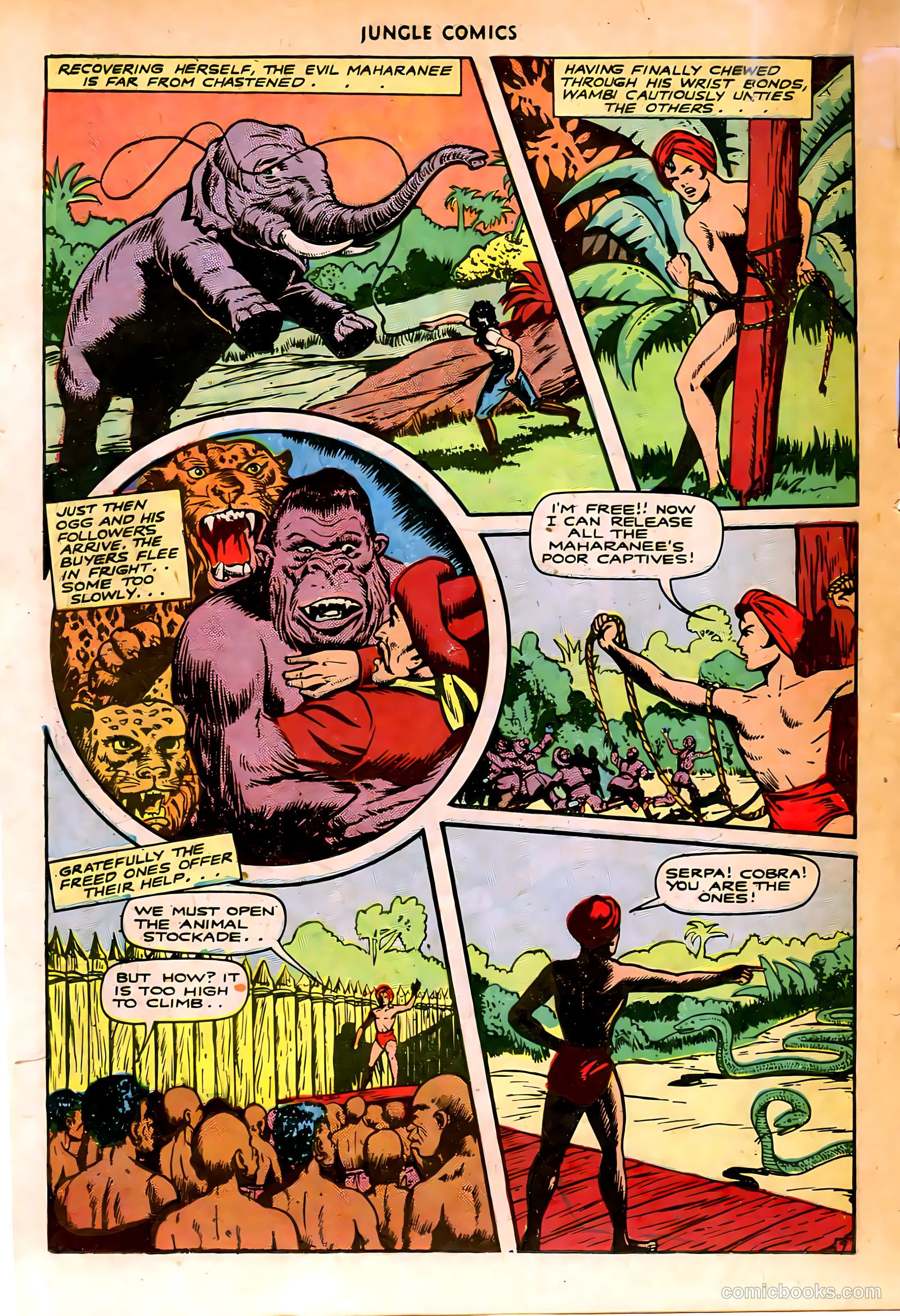 Jungle Comics #74 (1946) — page 27 of 53