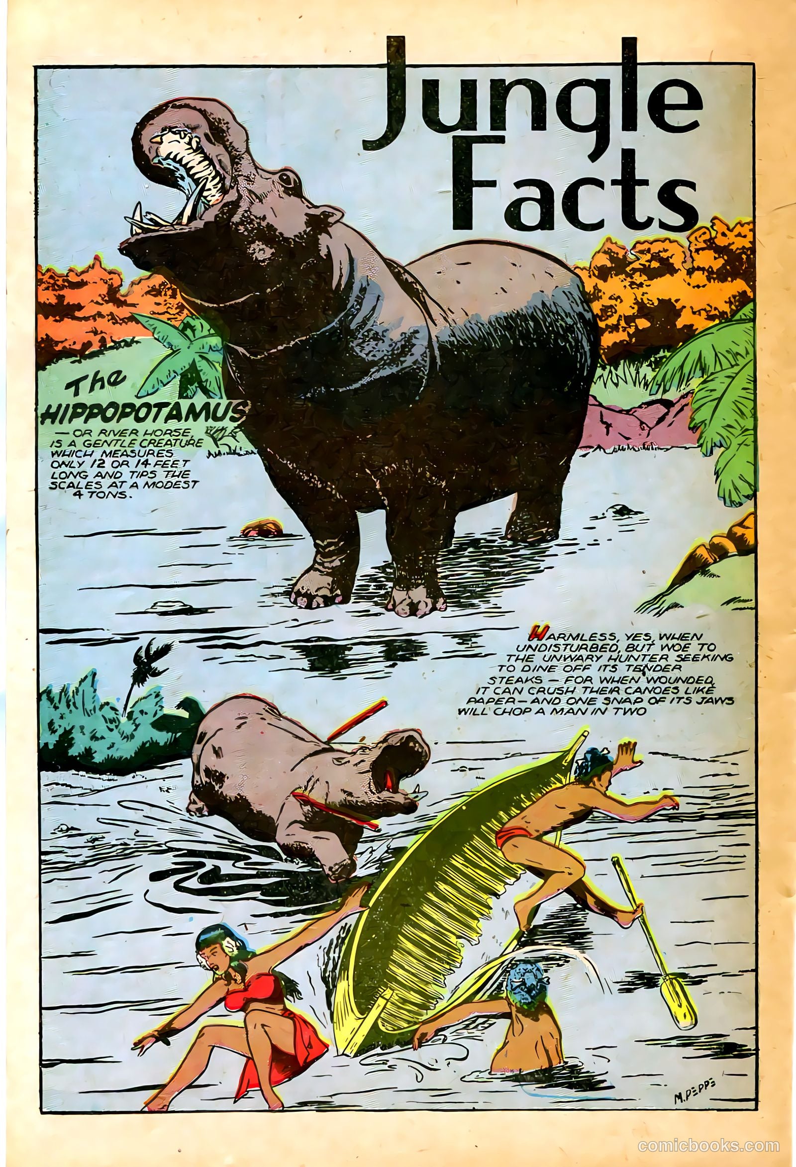 Jungle Comics #74 (1946) — page 37 of 53
