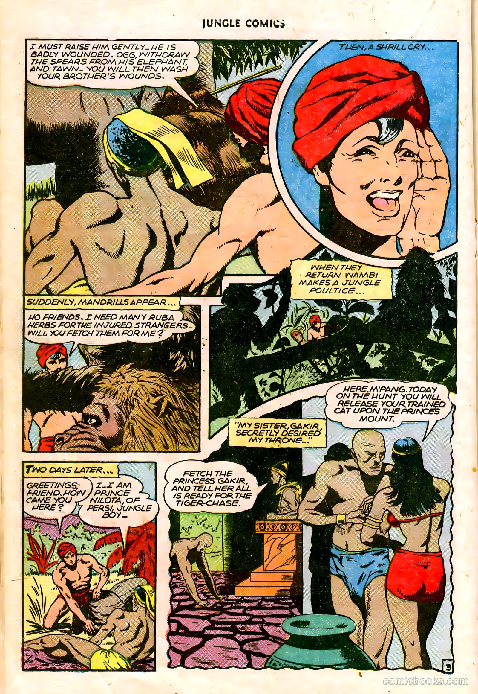 Jungle Comics #75 (1946) — page 22 of 52