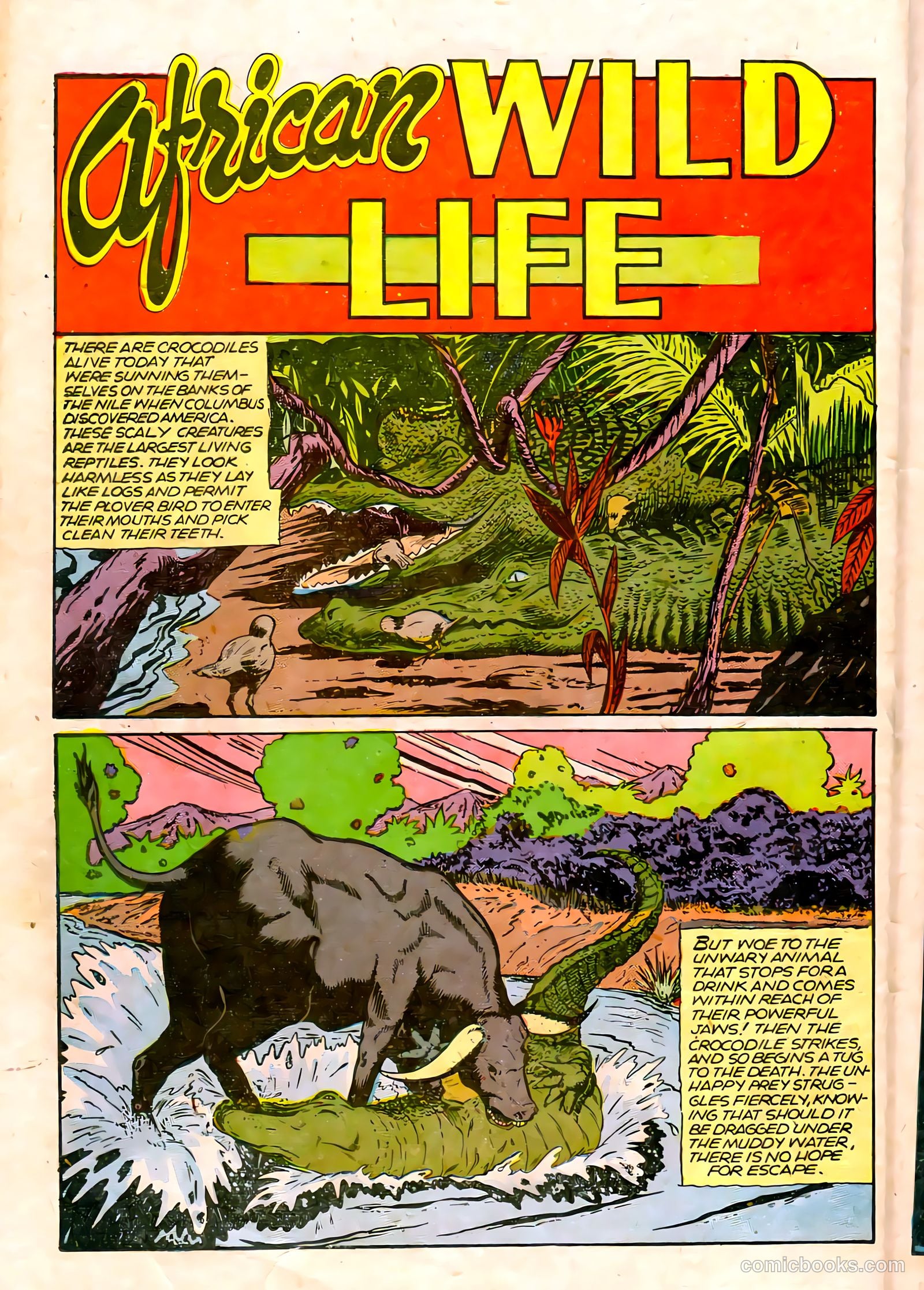 Jungle Comics #75 (1946) — page 36 of 52