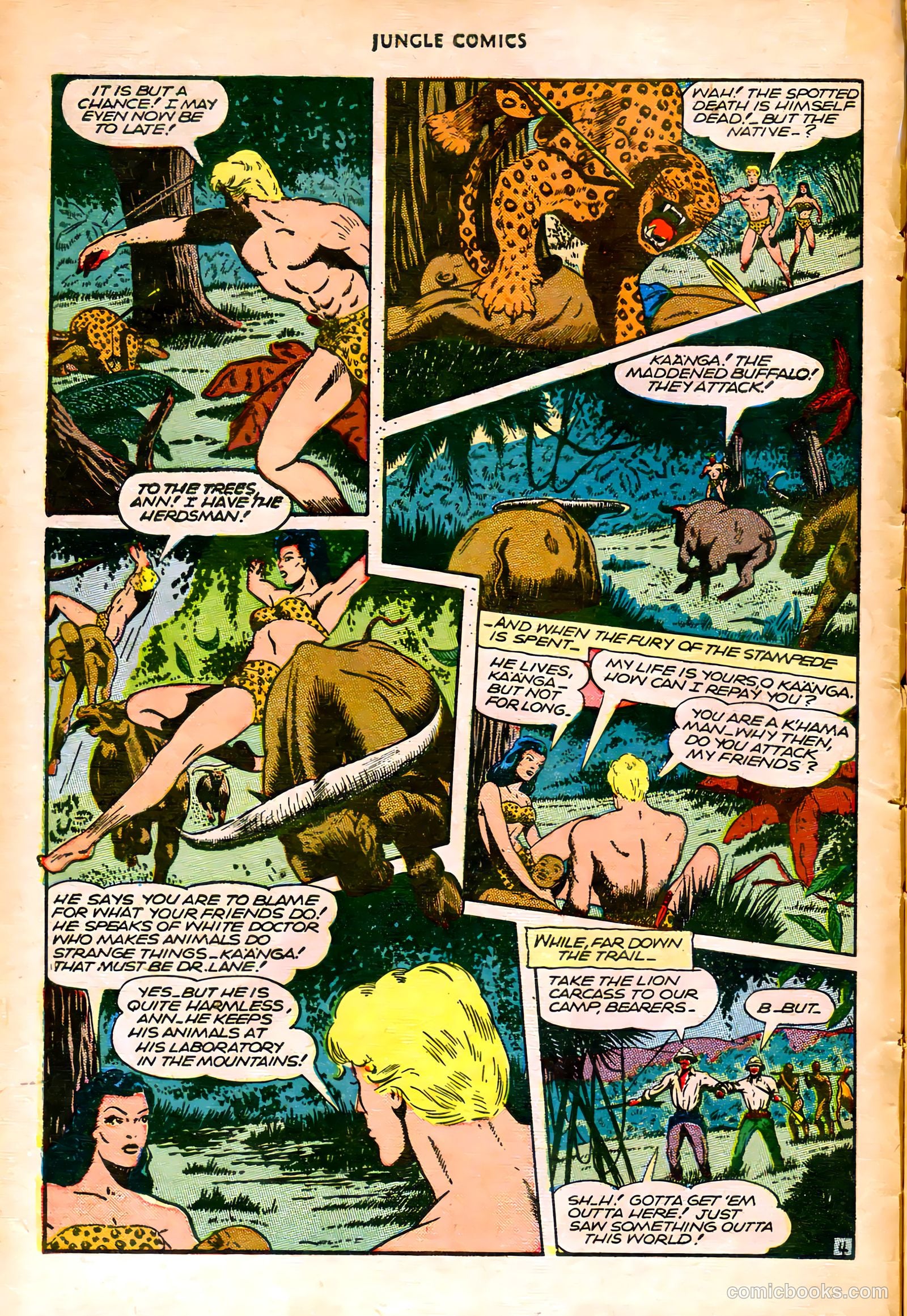 Jungle Comics #76 (1946) — page 7 of 53
