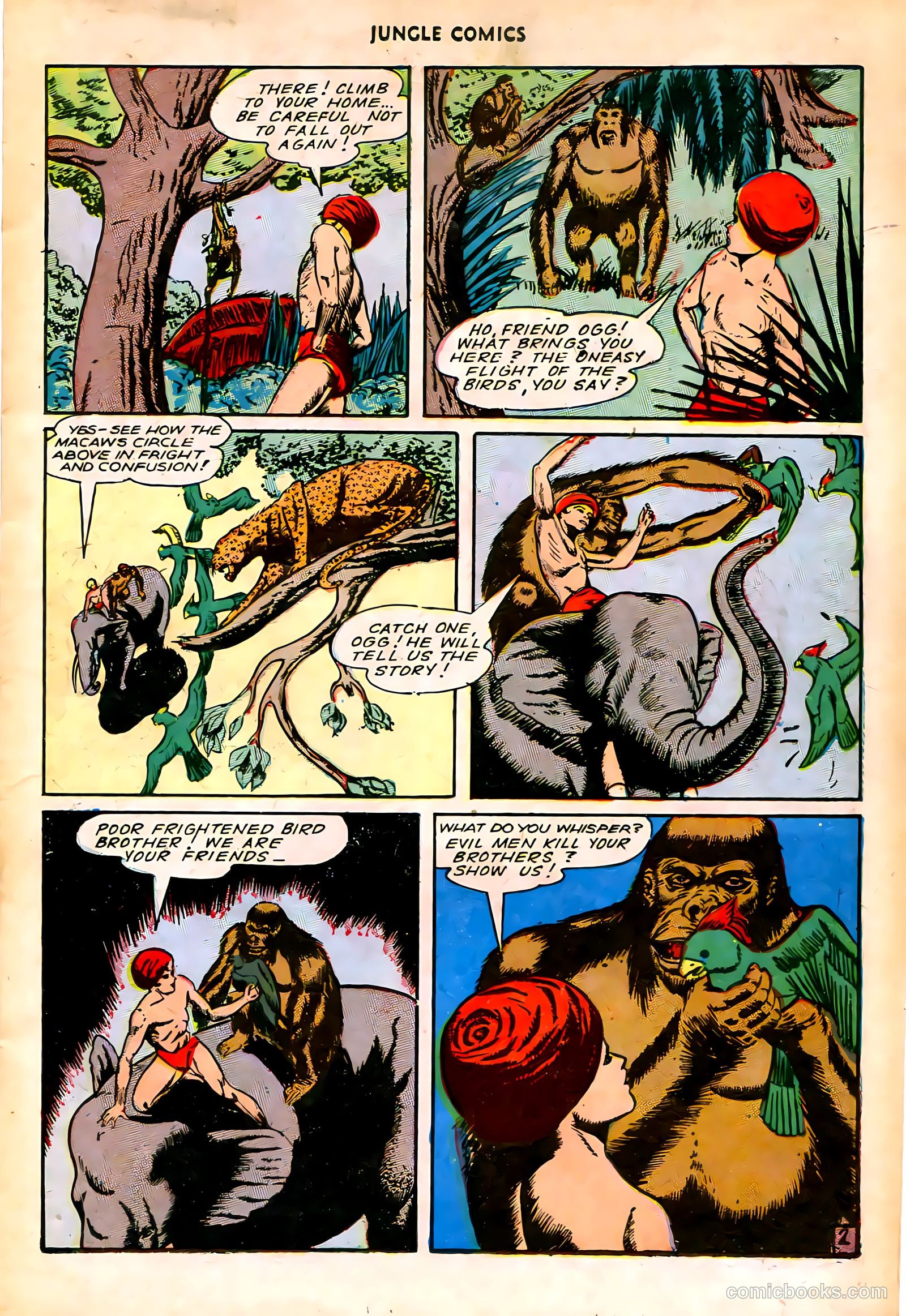 Jungle Comics #76 (1946) — page 22 of 53