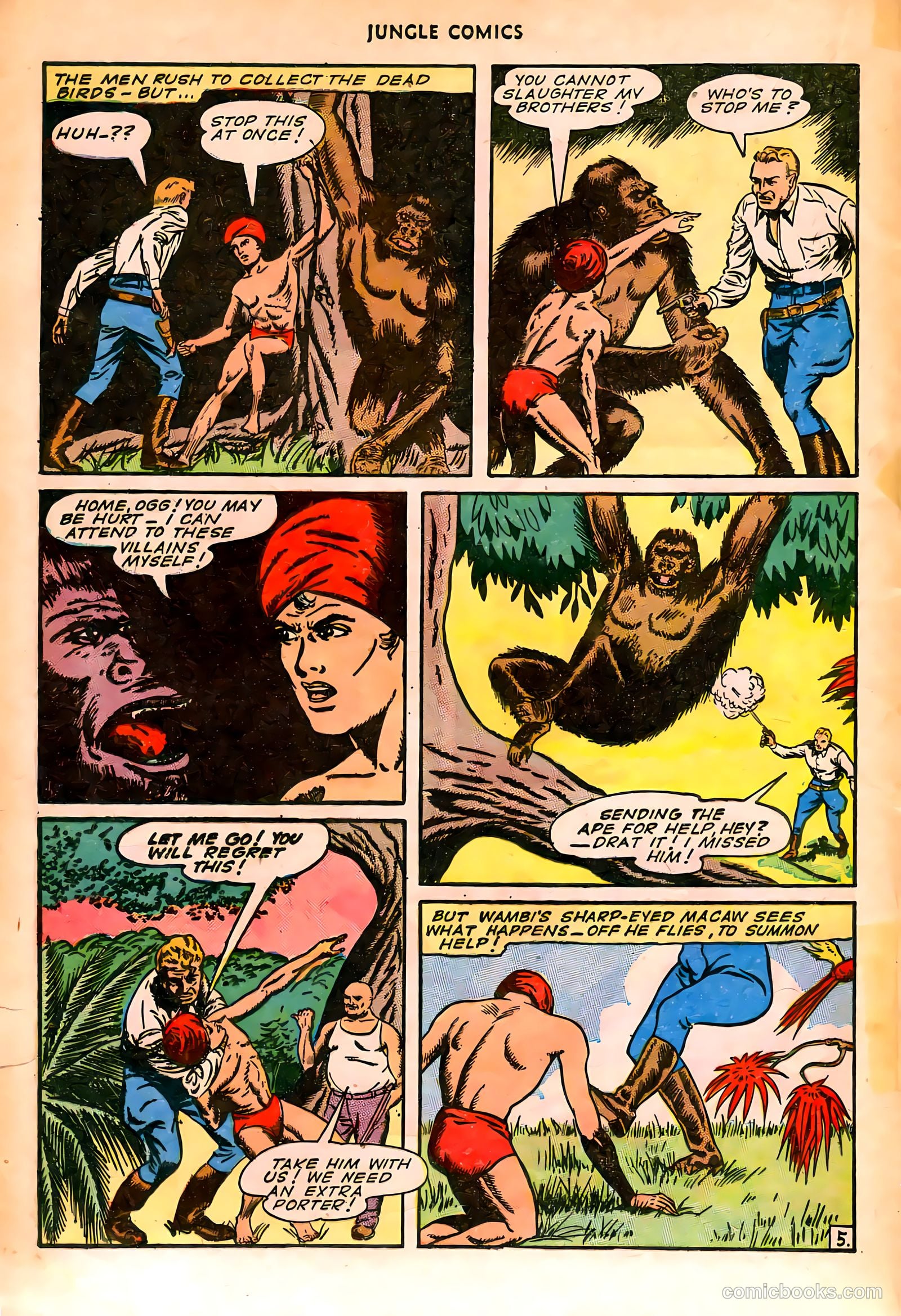 Jungle Comics #76 (1946) — page 25 of 53