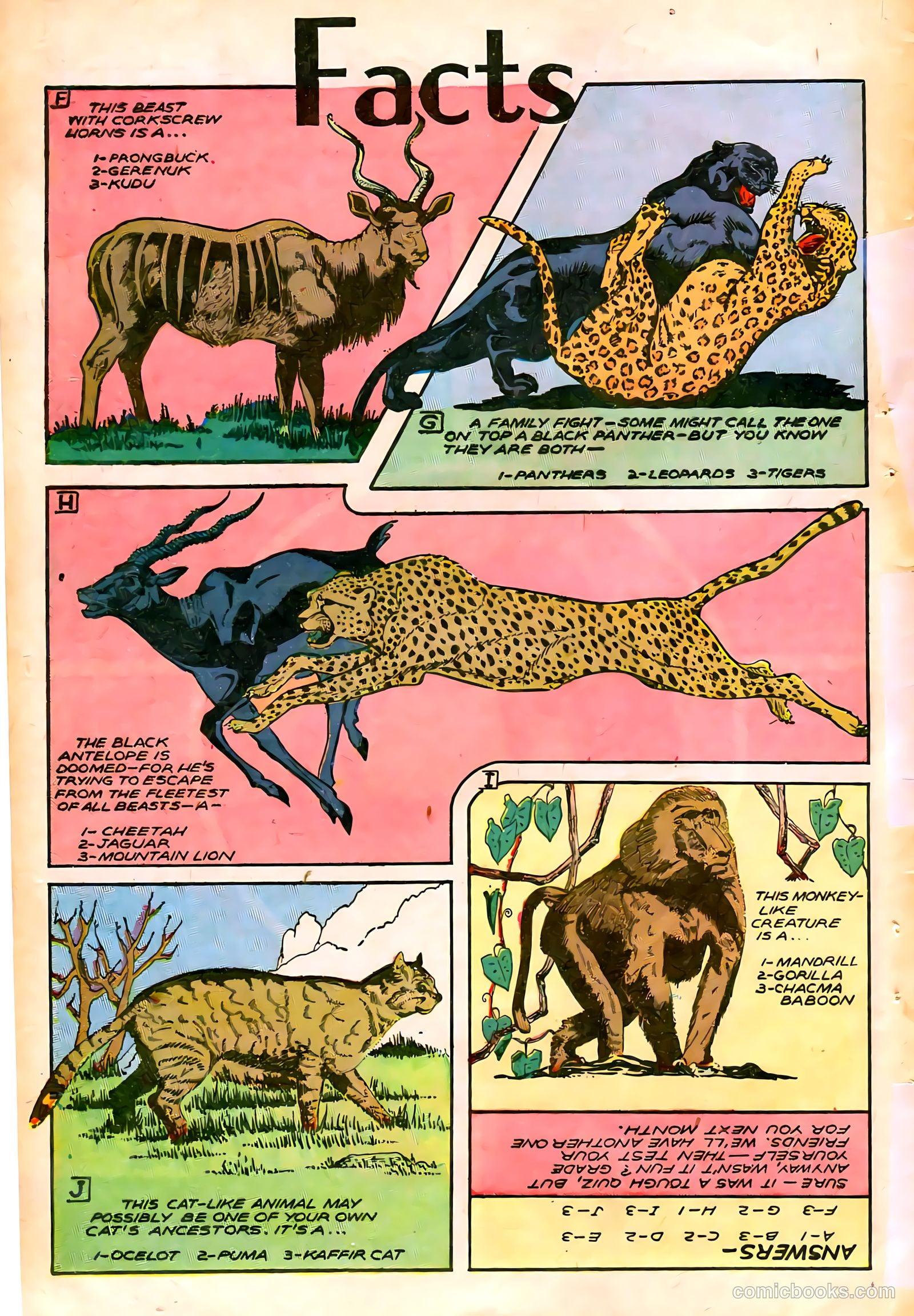 Jungle Comics #76 (1946) — page 43 of 53