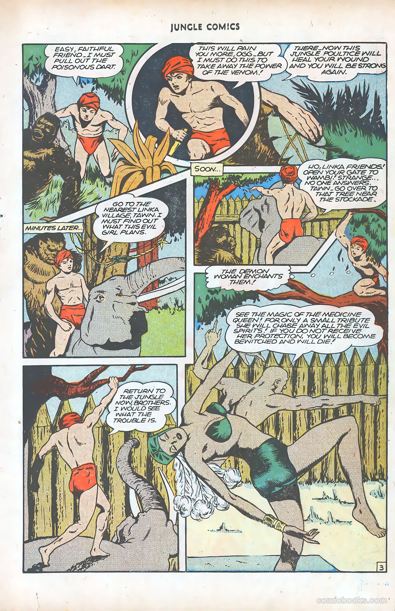 Jungle Comics #77 (1946) — page 24 of 53