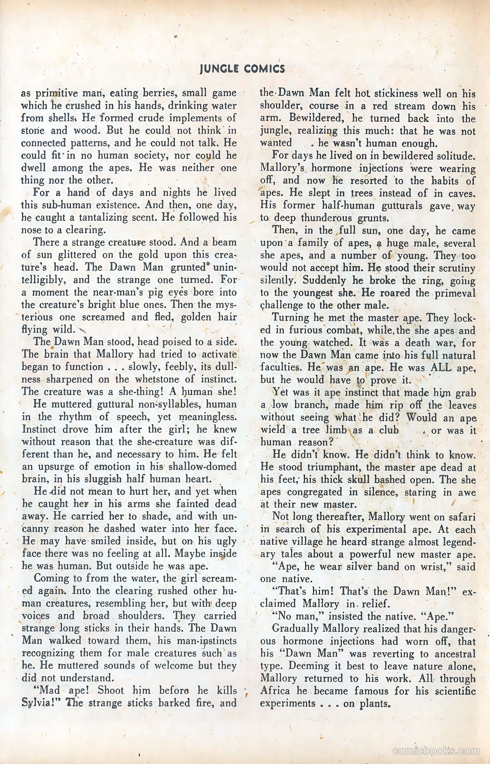 Jungle Comics #77 (1946) — page 35 of 53