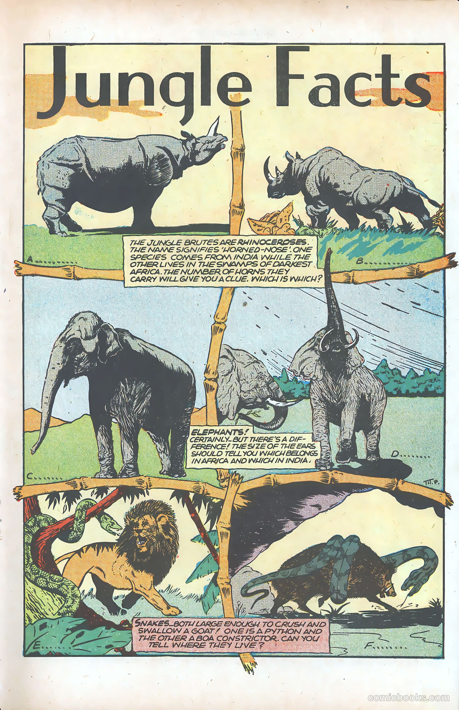 Jungle Comics #77 (1946) — page 42 of 53