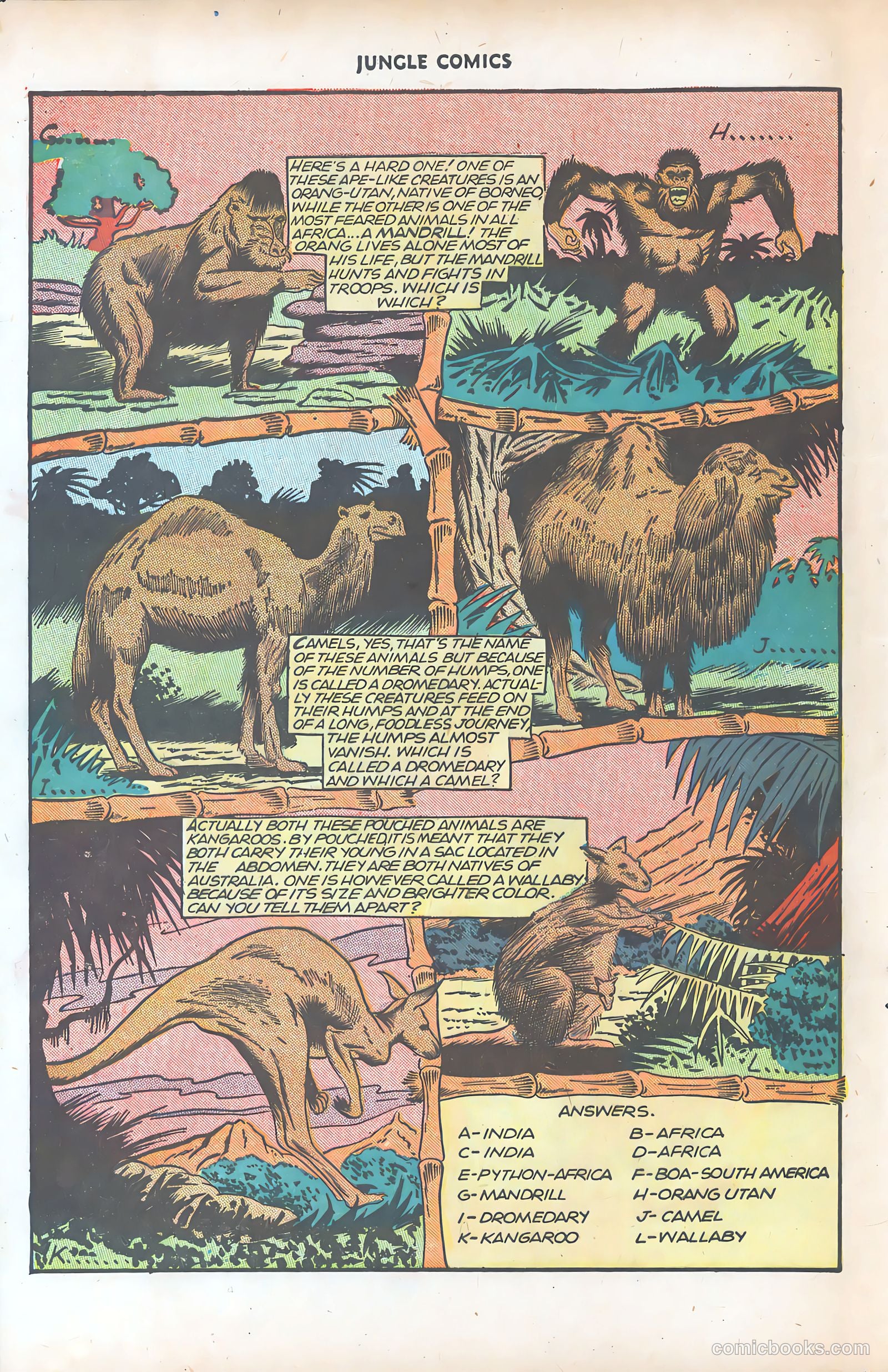Jungle Comics #77 (1946) — page 43 of 53