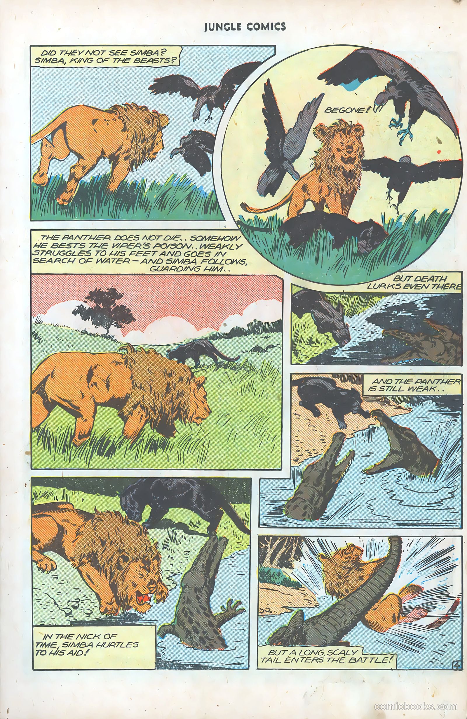 Jungle Comics #78 (1946) — page 17 of 52