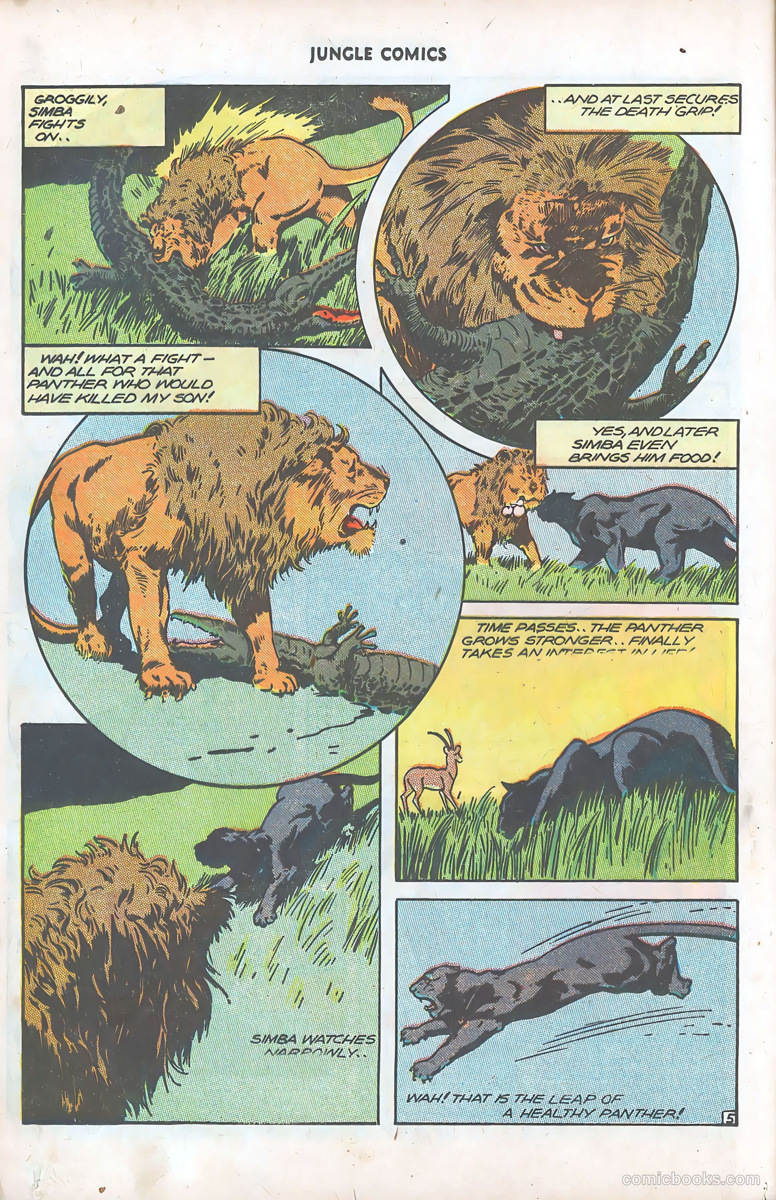 Jungle Comics #78 (1946) — page 18 of 52