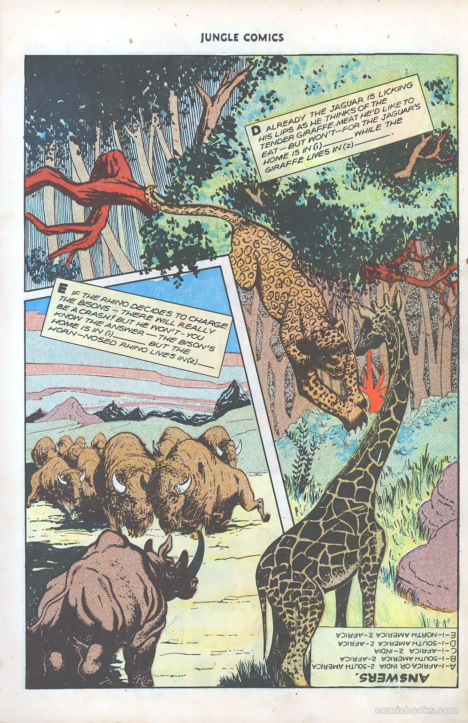 Jungle Comics #78 (1946) — page 21 of 52