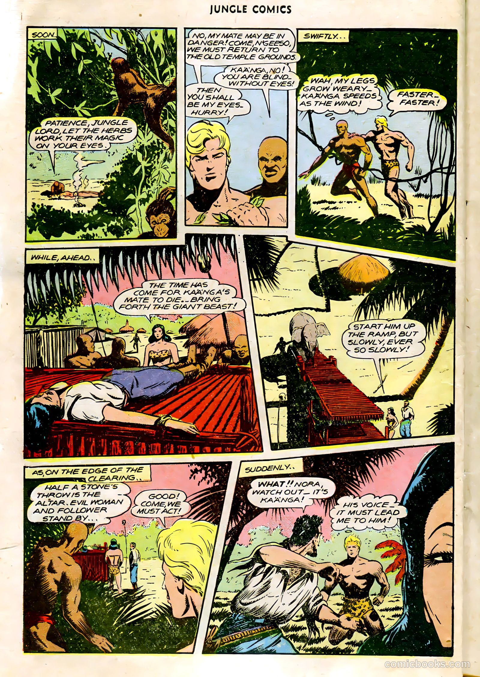 Jungle Comics #79 (1946) — page 13 of 53