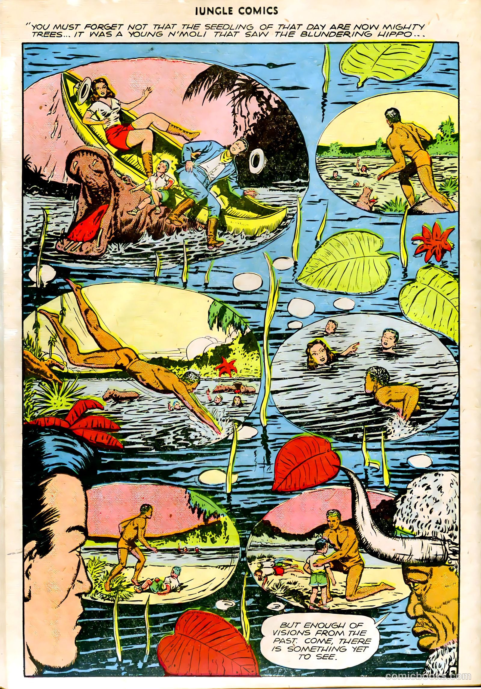 Jungle Comics #79 (1946) — page 31 of 53