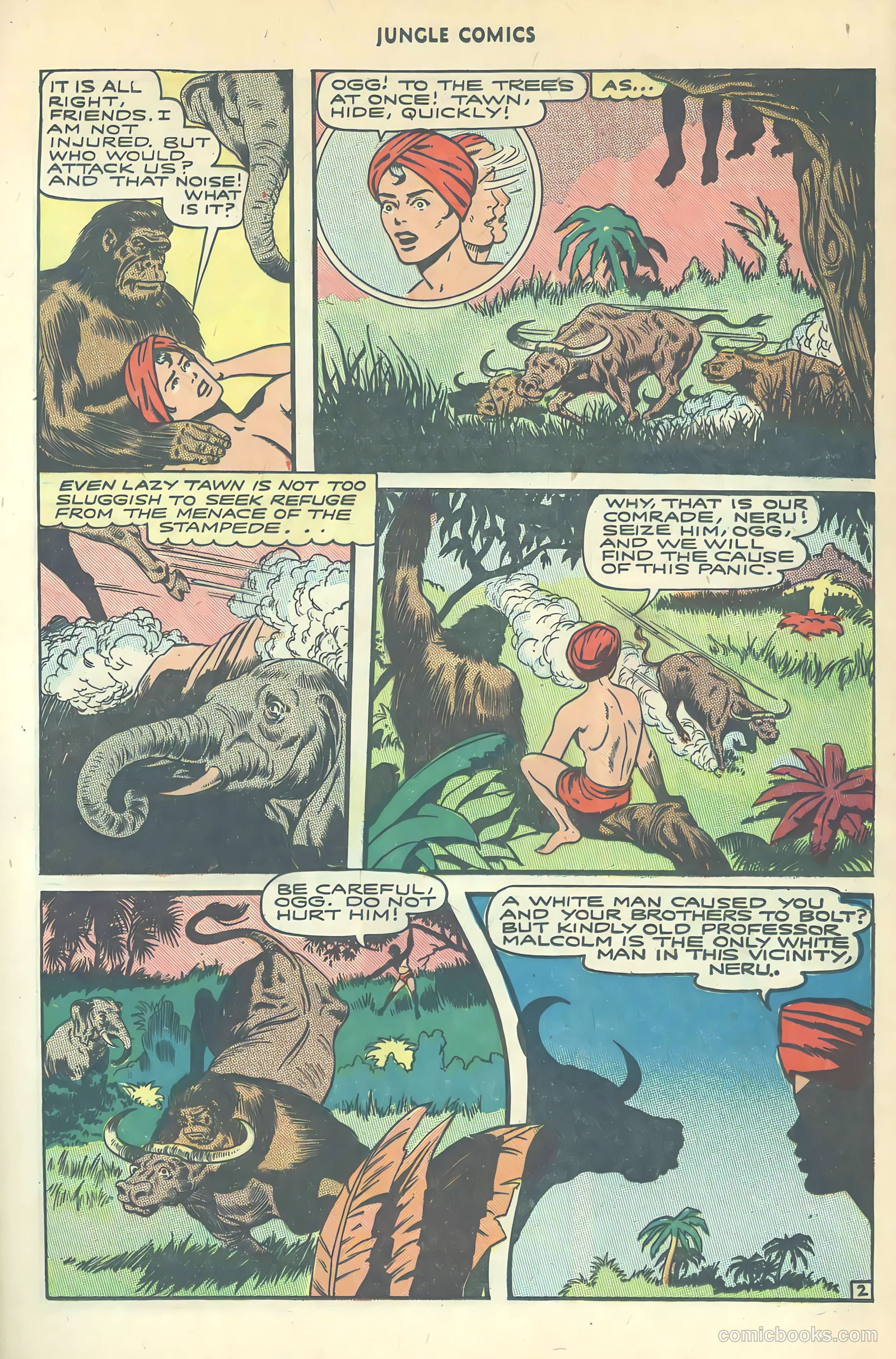 Jungle Comics #80 (1946) — page 29 of 53