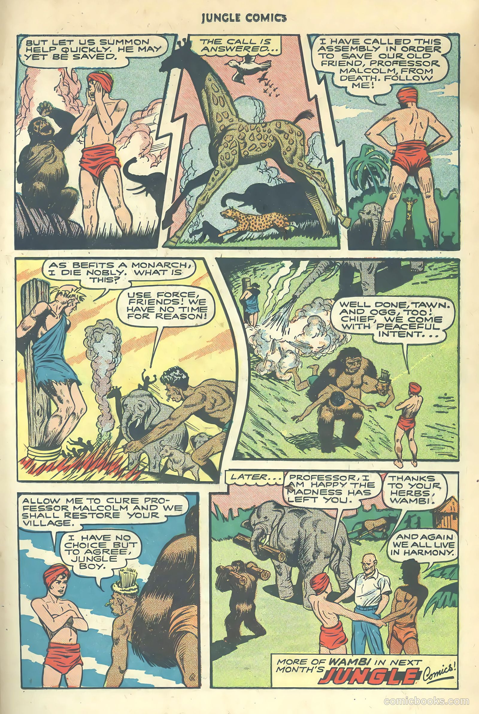 Jungle Comics #80 (1946) — page 33 of 53