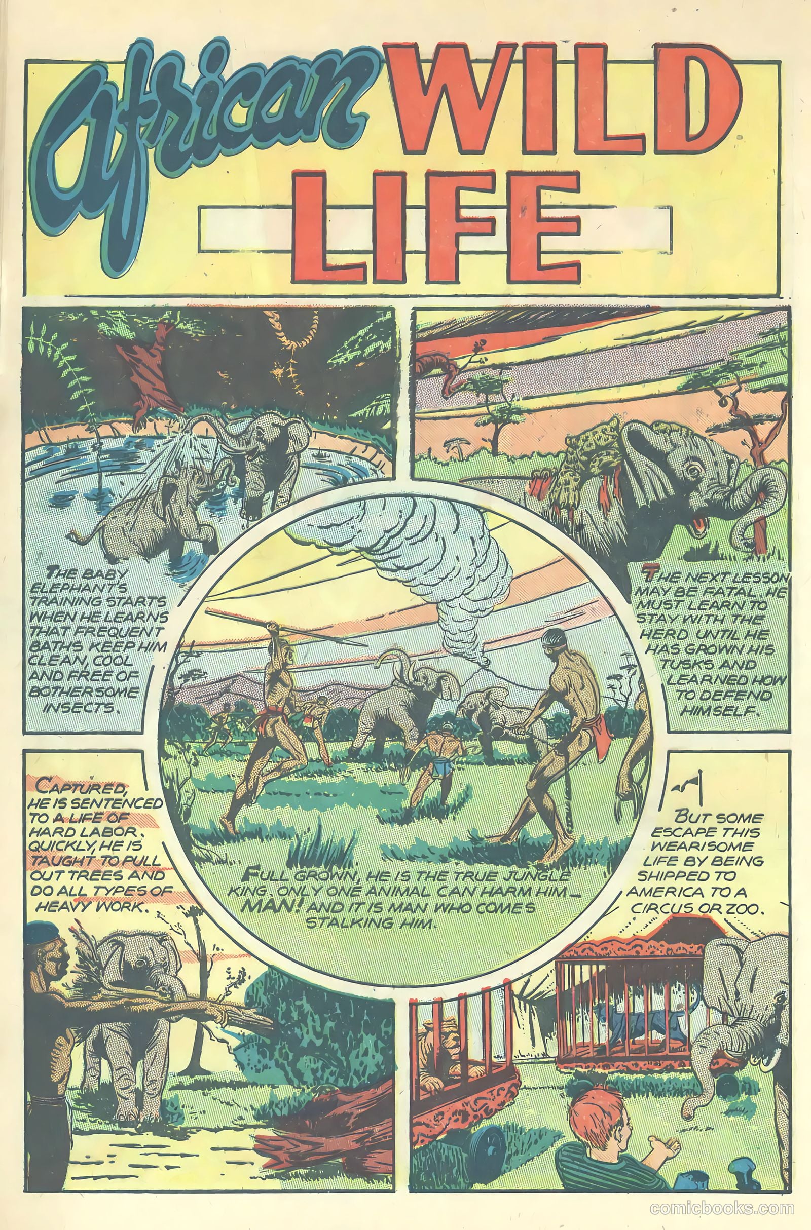 Jungle Comics #80 (1946) — page 42 of 53